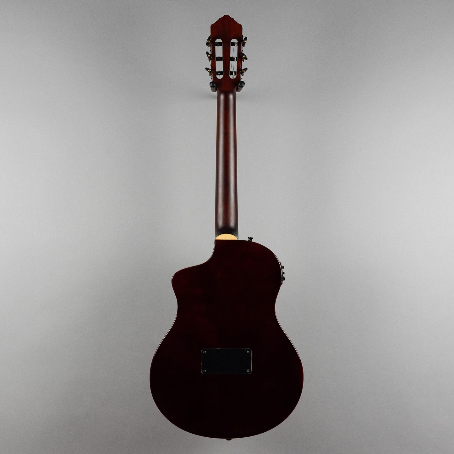 Ortega TourPlayer Deluxe Nylon String Guitar, Acacia Burst Top