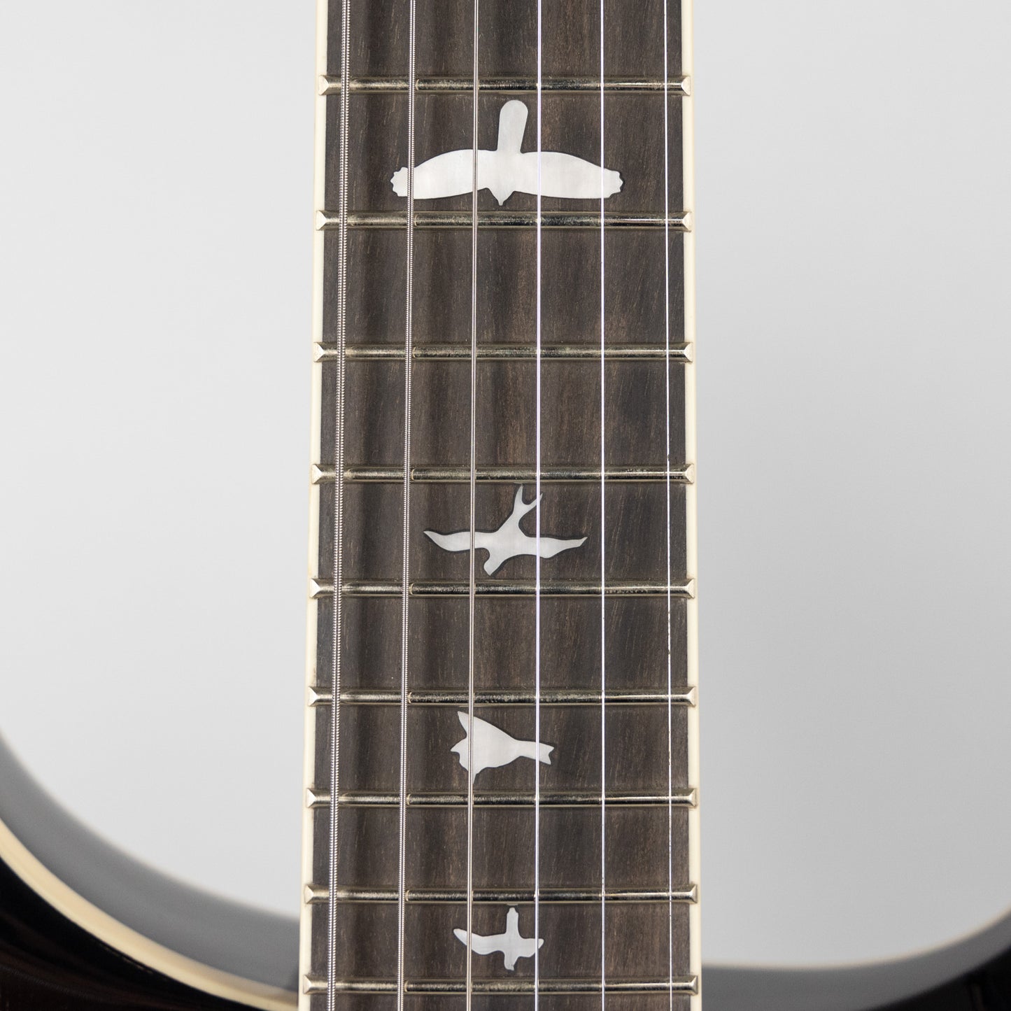 Paul Reed Smith SE Hollowbody Standard Piezo in Dog Hair Smokeburst (CTCF31411)