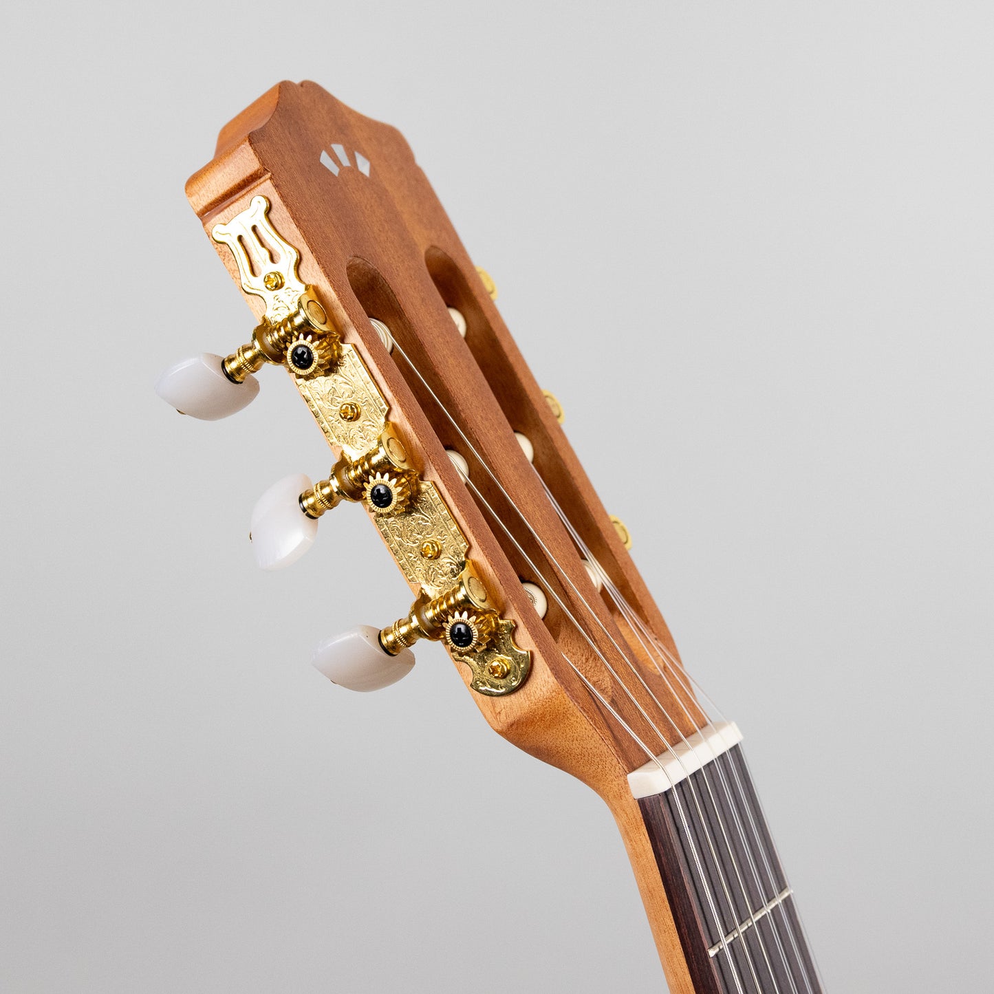 Córdoba C1M-CE Protégé Student Classical Guitar