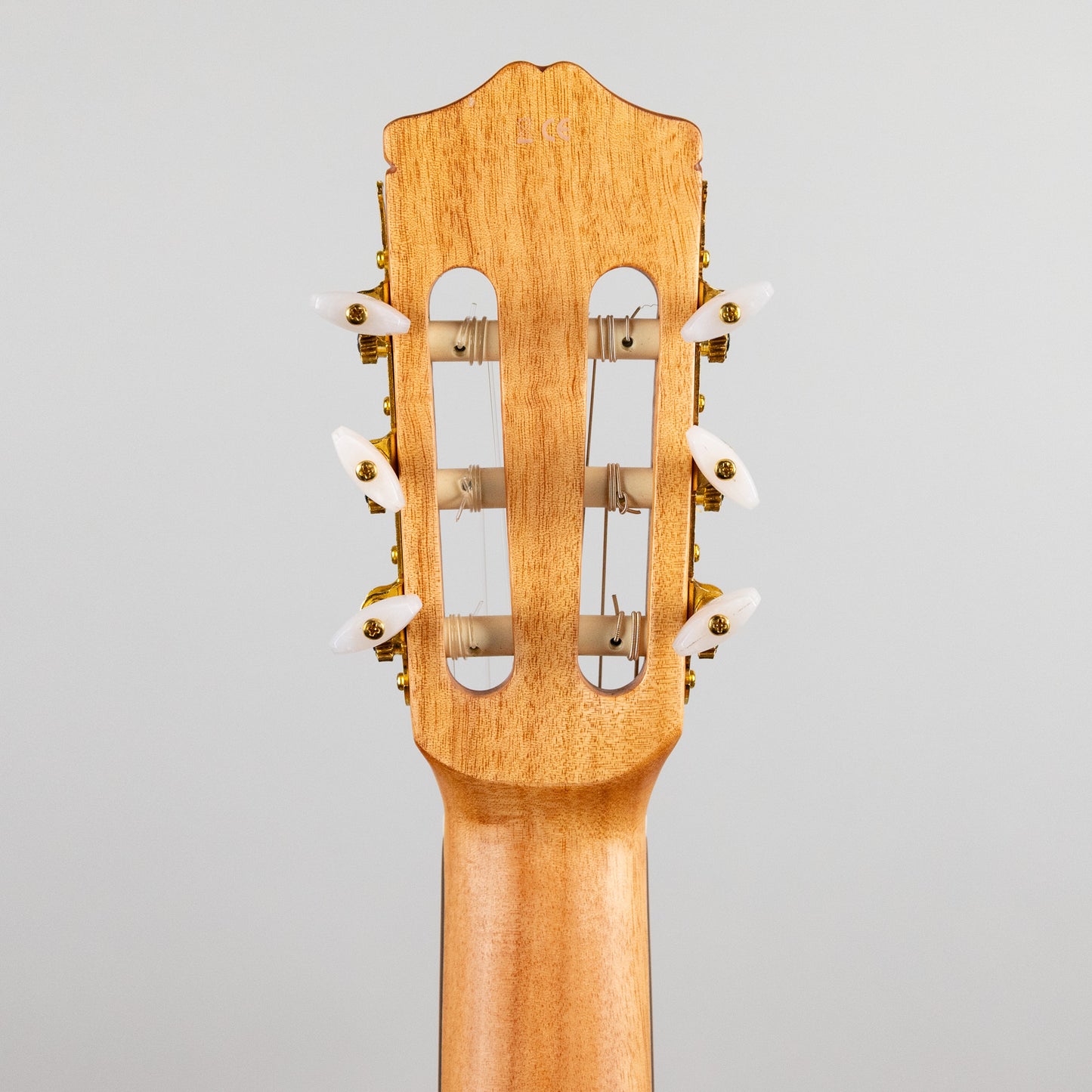 Córdoba C1M-CE Protégé Student Classical Guitar