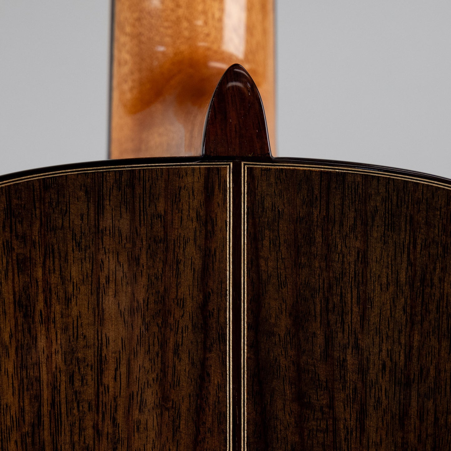 Córdoba C7 SP Classical Guitar