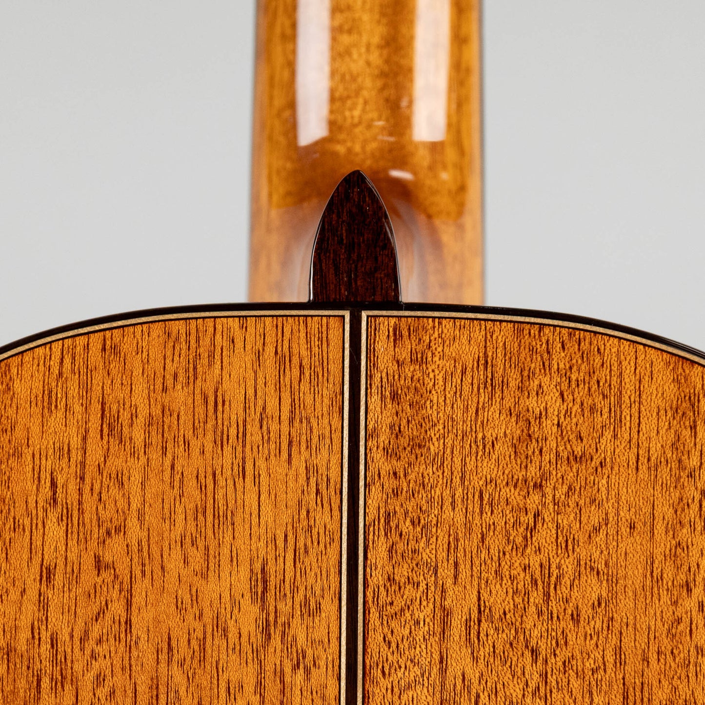Córdoba C9 CD Classical Guitar, Canadian Cedar Top