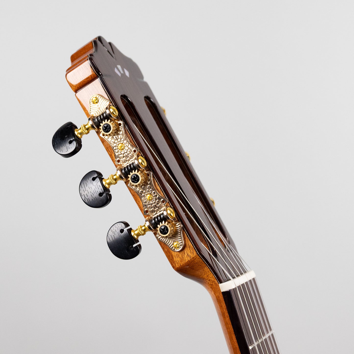 Córdoba C9 CD Classical Guitar, Canadian Cedar Top