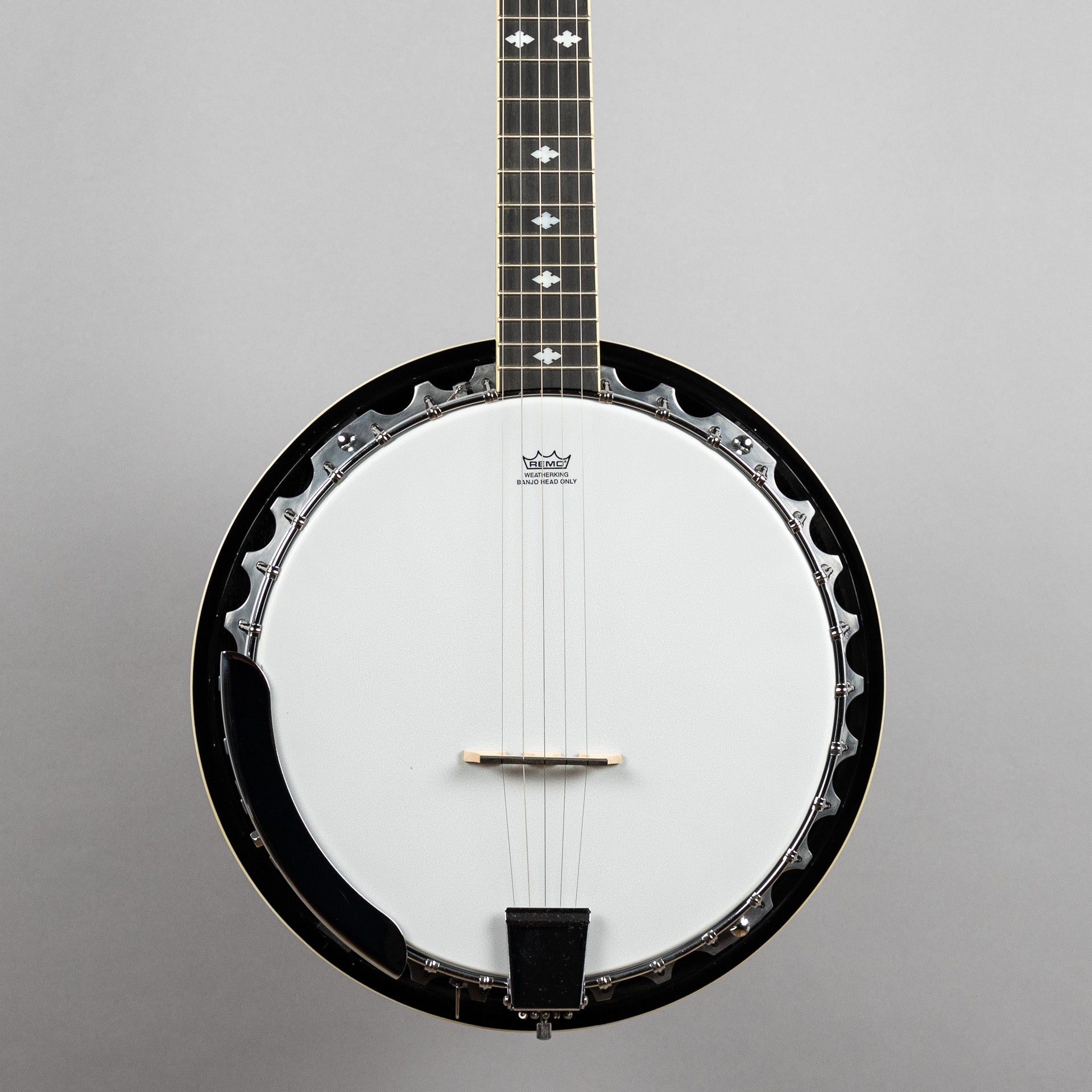 Danville BJ30 Banjo, 5-String – Carlton Music Center