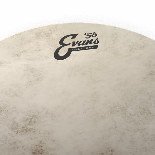 Evans Calftone Tom Batter Drumhead