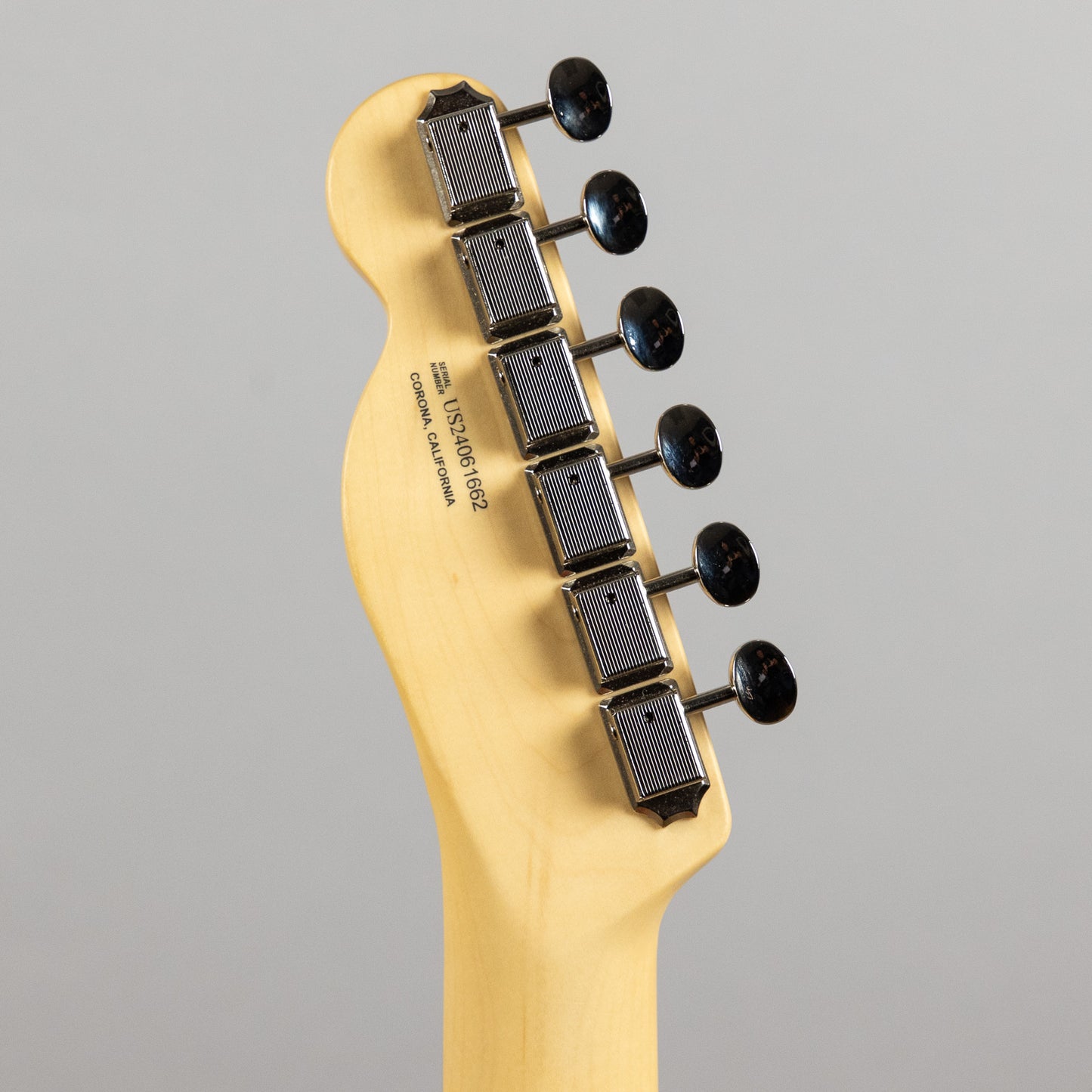 Fender American Performer Telecaster Hum, Aubergine