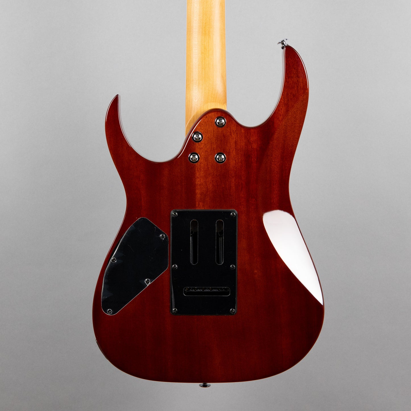 Ibanez GRG220PA1 GIO Series in Transparent Brown Black Burst