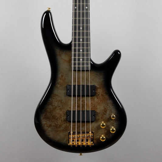 Ibanez GSR205PC SR Gio 5-String Bass, Transparent Pale Black Burst