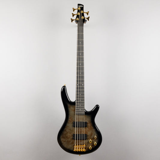 Ibanez GSR205PC SR Gio 5-String Bass, Transparent Pale Black Burst