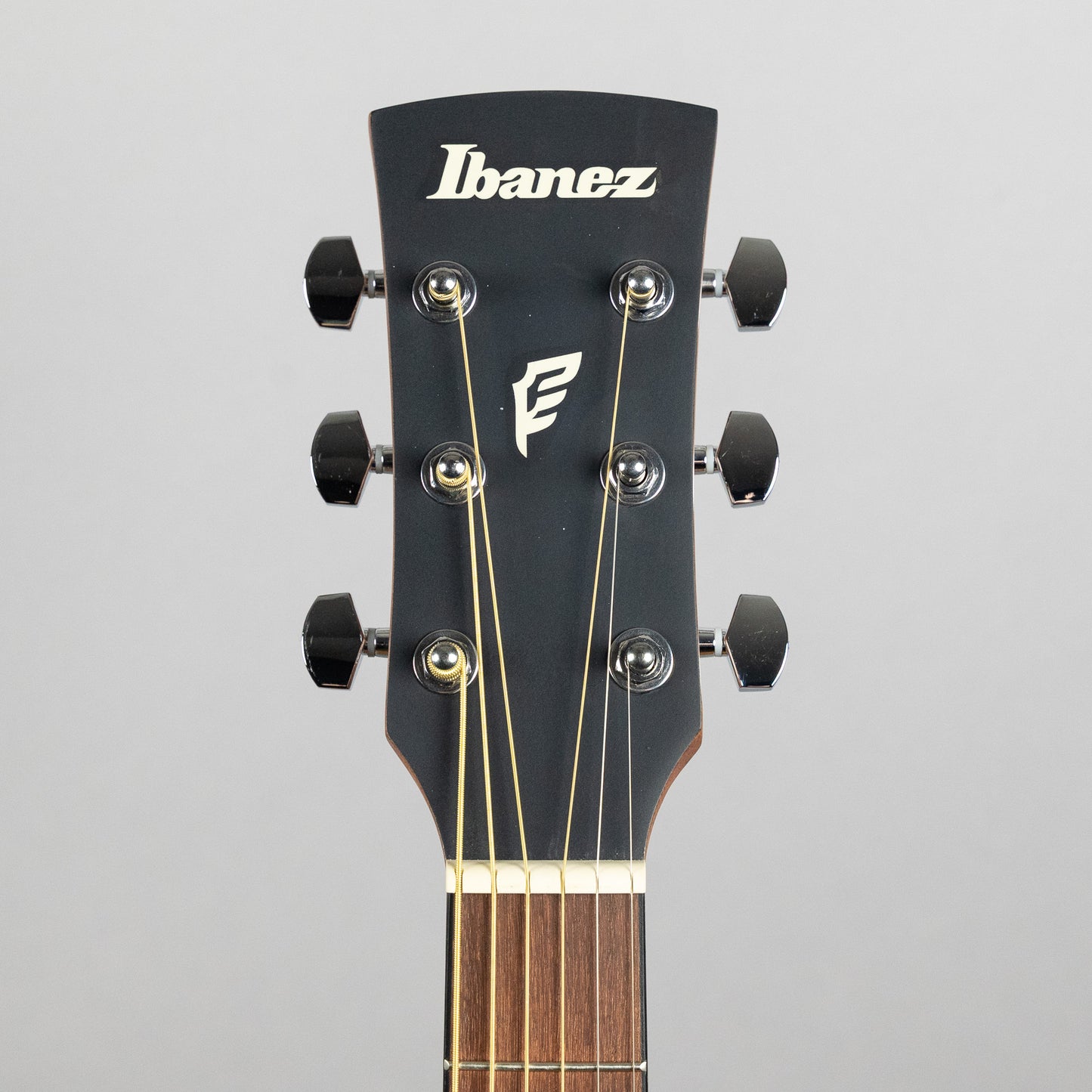 Ibanez PF50 Dreadnought Acoustic, Open Pore Natural