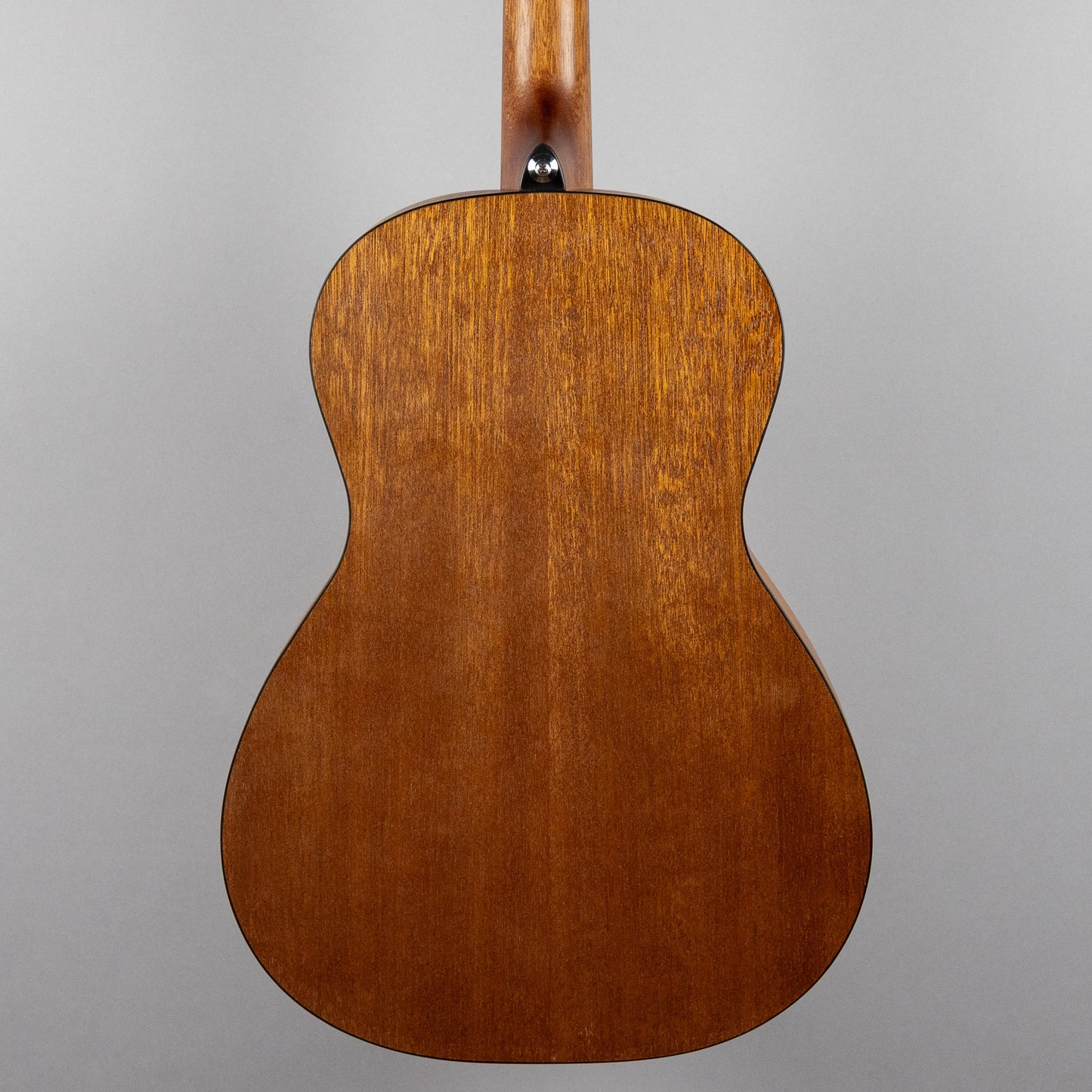 Ibanez PN50 Parlor Acoustic, Open Pore Brown Sunburst Top