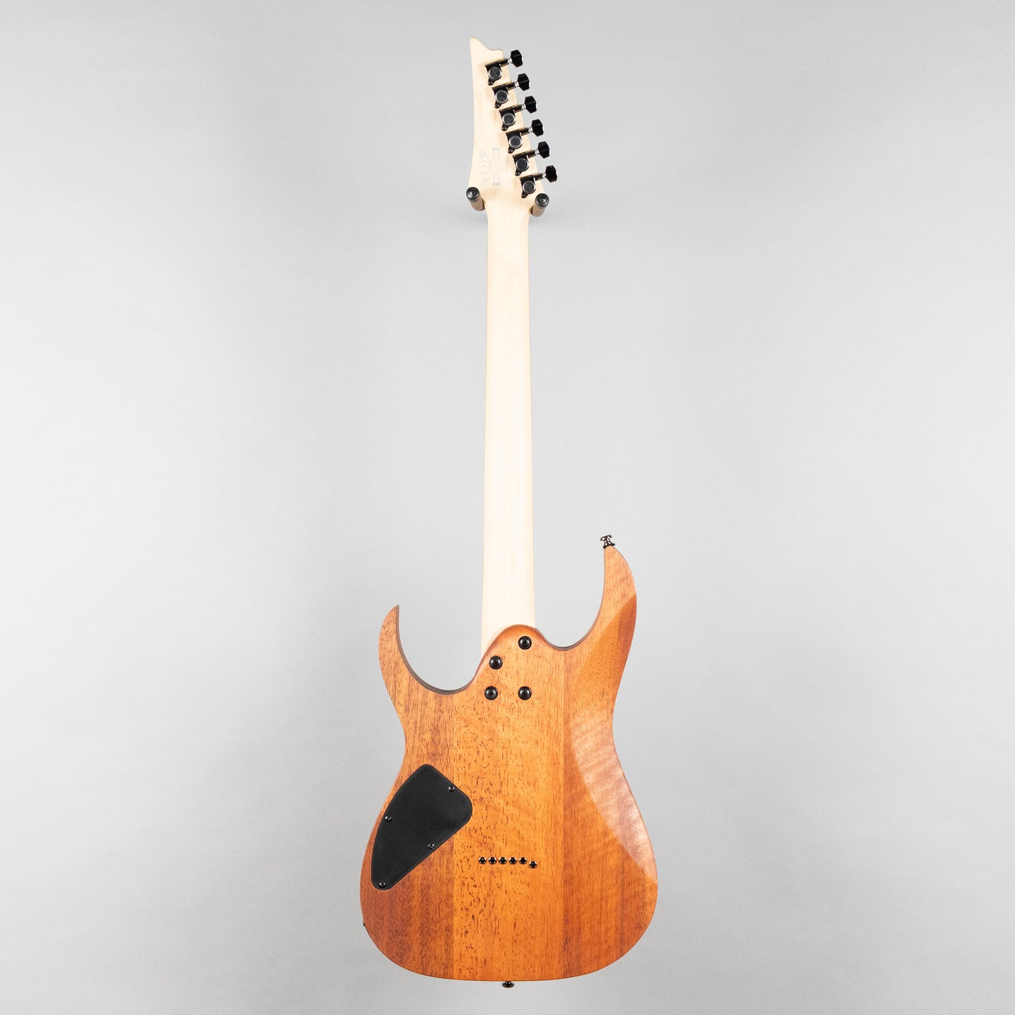 Ibanez RG421 RG Standard Electric Guitar, Mahogany Oil