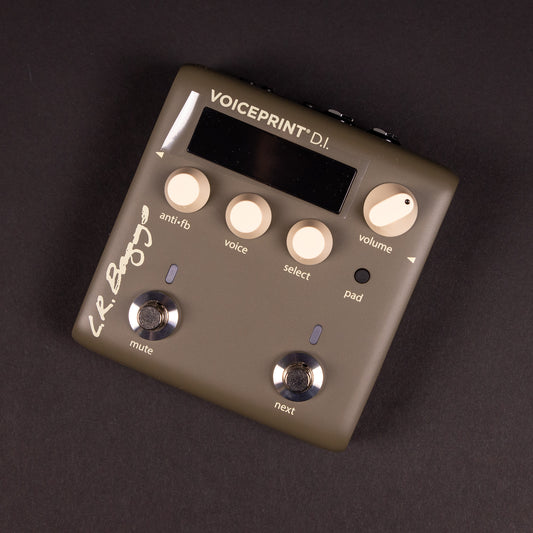LR Baggs Voiceprint DI Acoustic Guitar Impulse Response Pedal