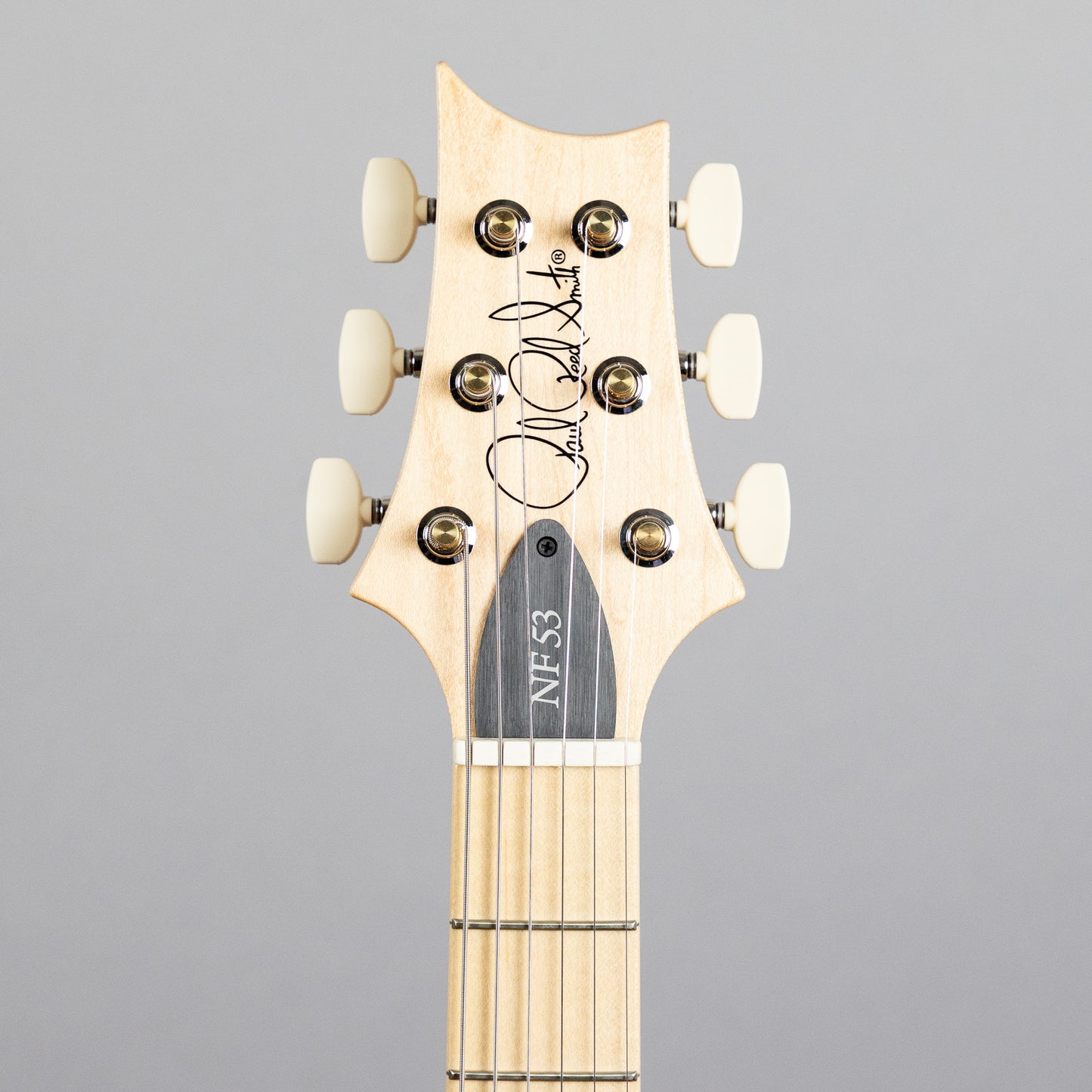Paul Reed Smith NF 53 in White Doghair