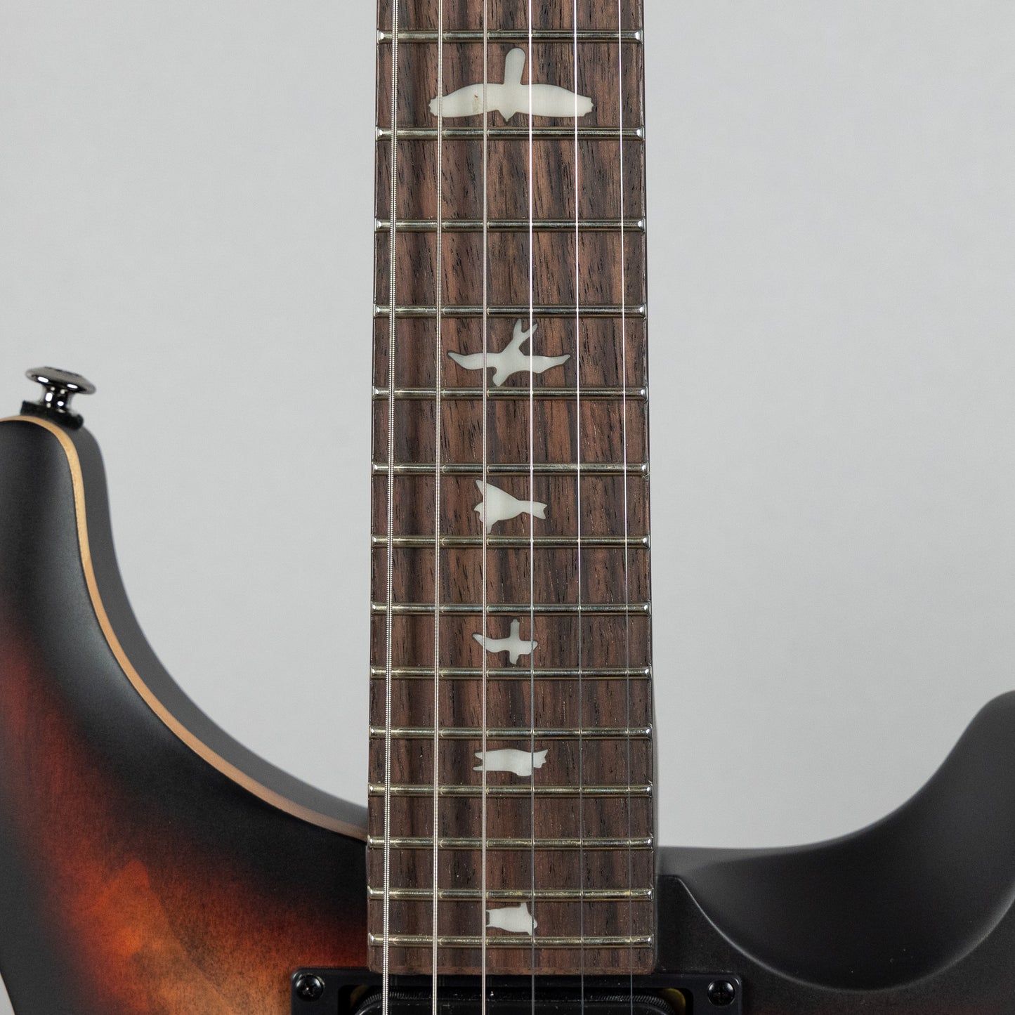 Paul Reed Smith SE Exotic Custom 24-08 Poplar Burl Limited Edition, Charcoal Cherry Midnight Burst