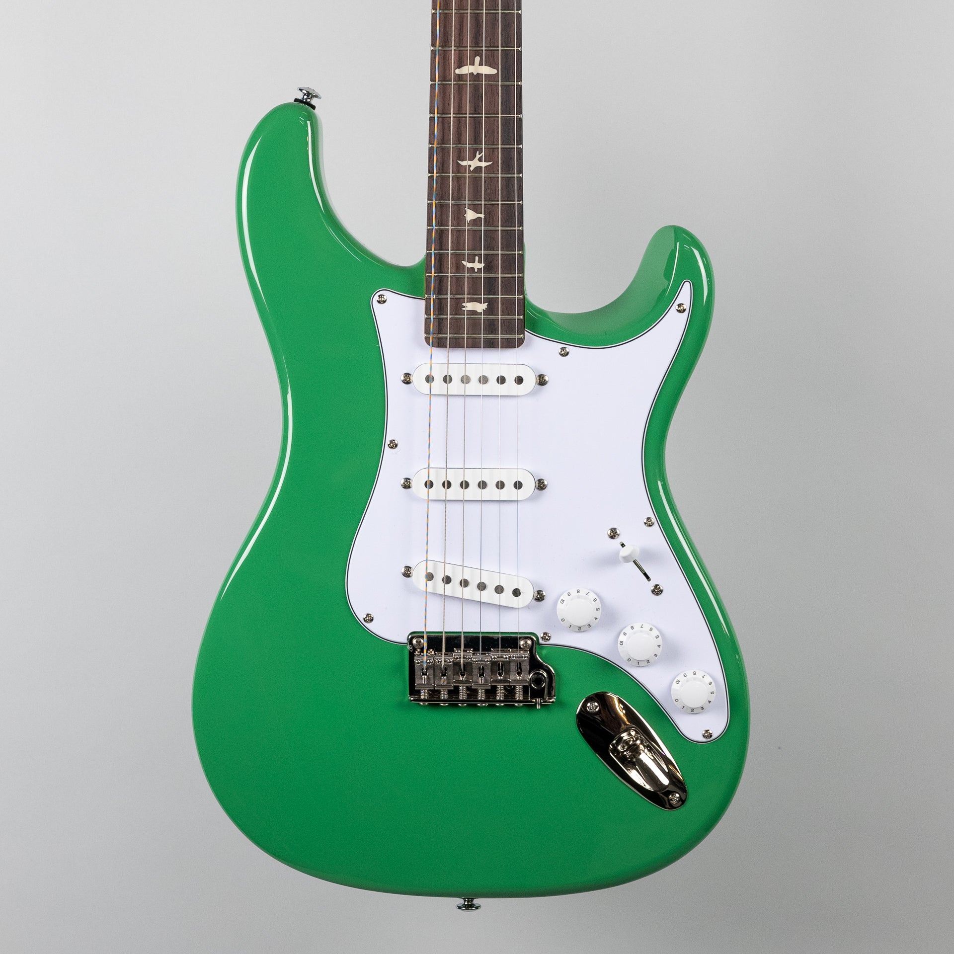 Paul Reed Smith SE Silver Sky in Ever Green – Carlton Music Center