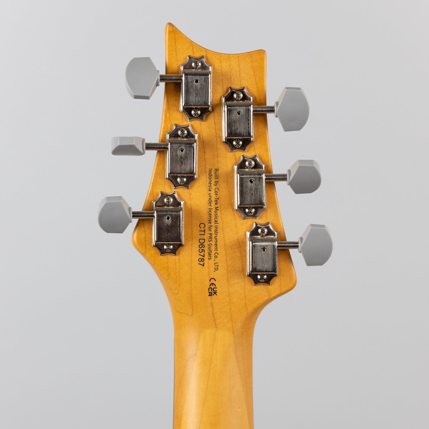 Paul Reed Smith SE Silver Sky in Ever Green