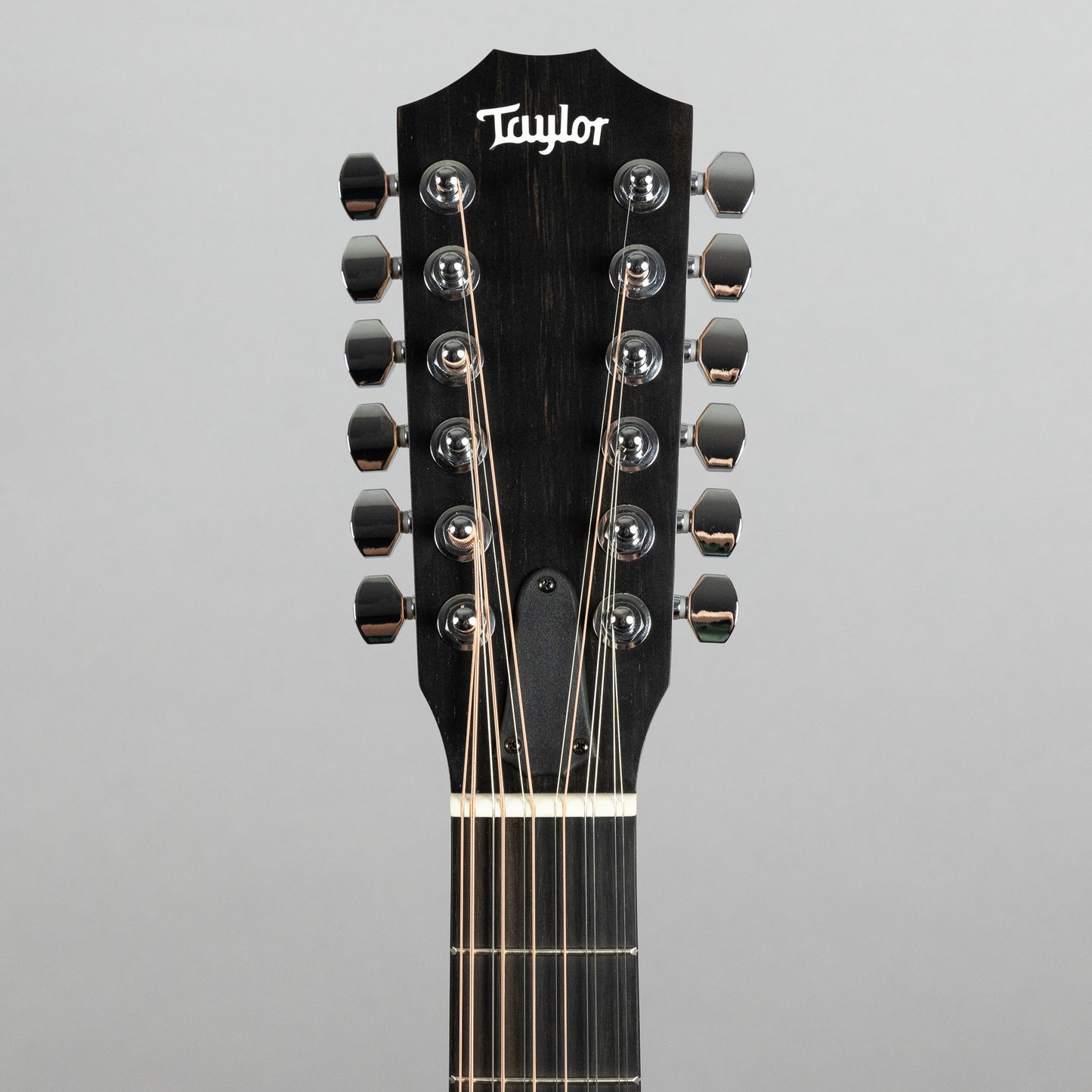 Taylor 150ce 12-String Acoustic Guitar