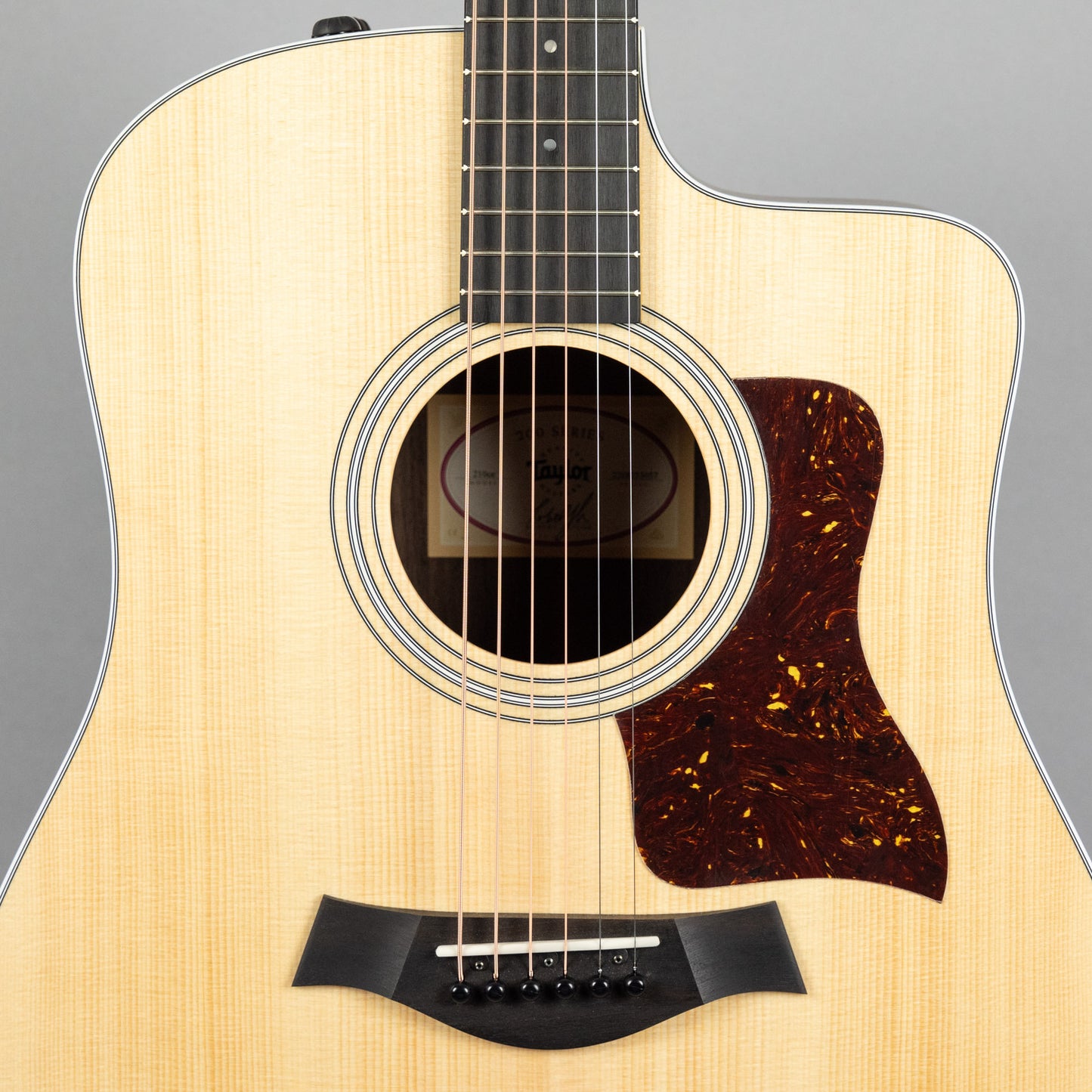 Taylor 210ce Acoustic Guitar