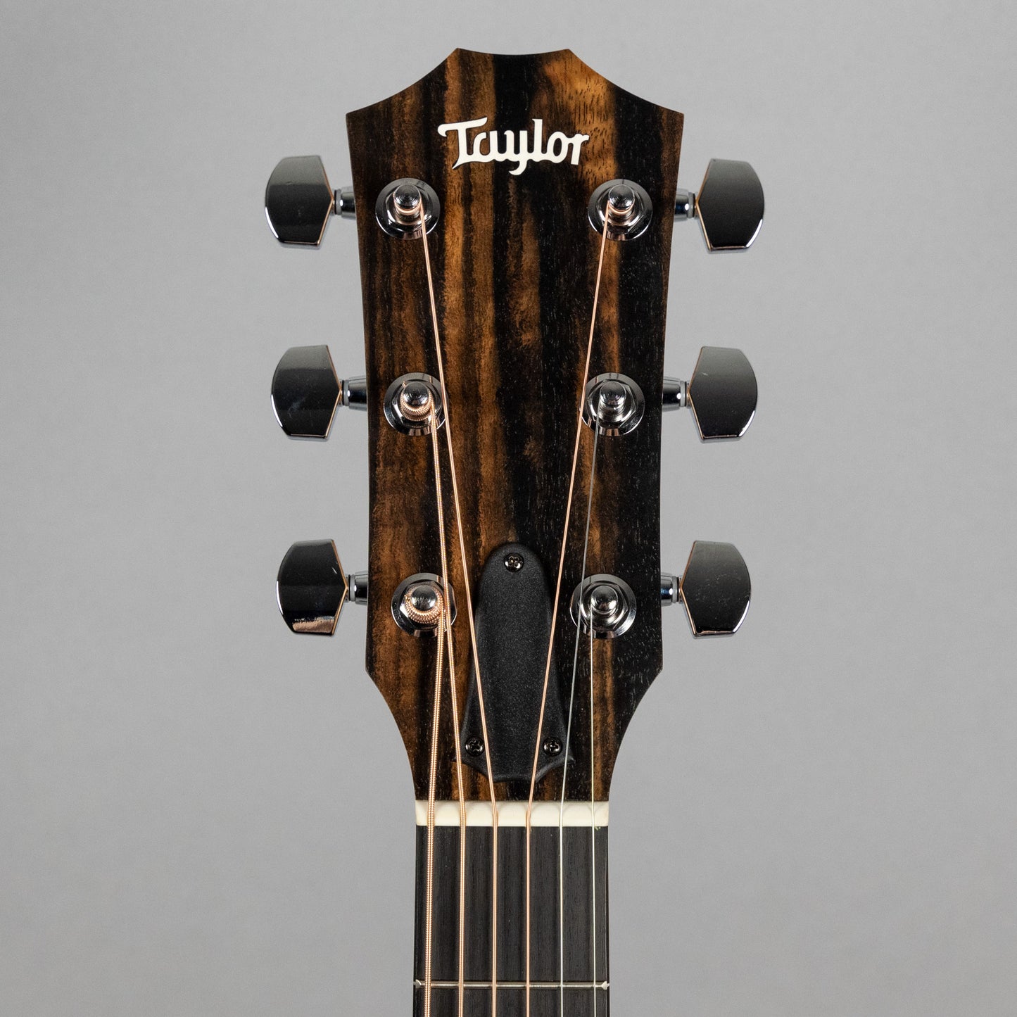 Taylor 210ce Acoustic Guitar