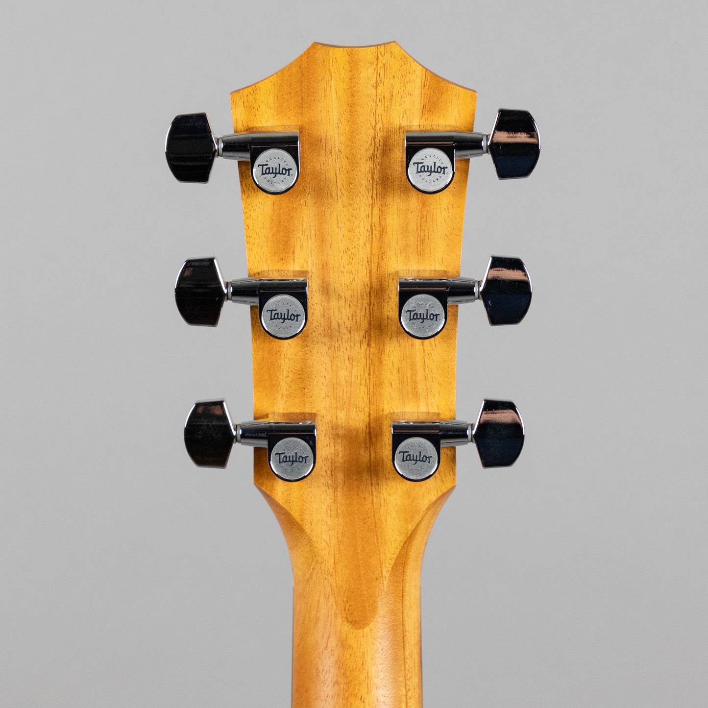 Taylor 210ce Acoustic Guitar