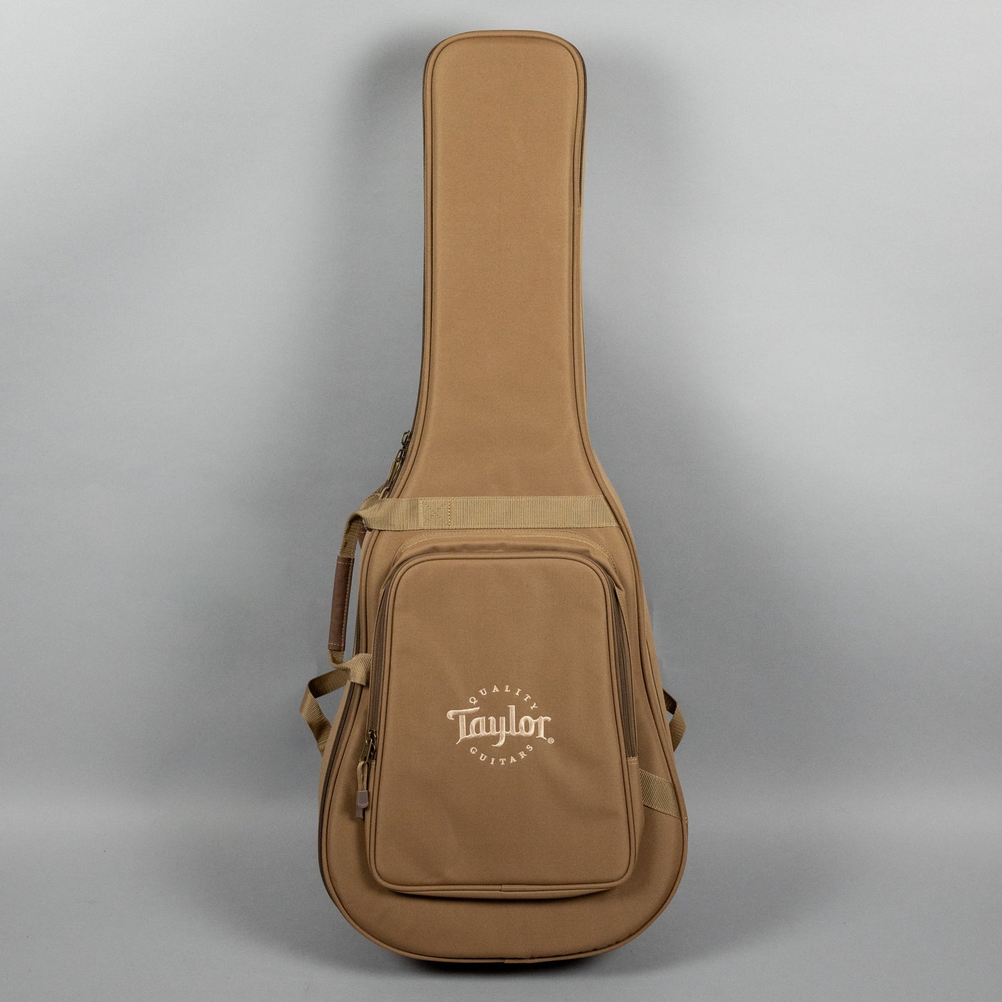 Taylor 210ce Acoustic Guitar