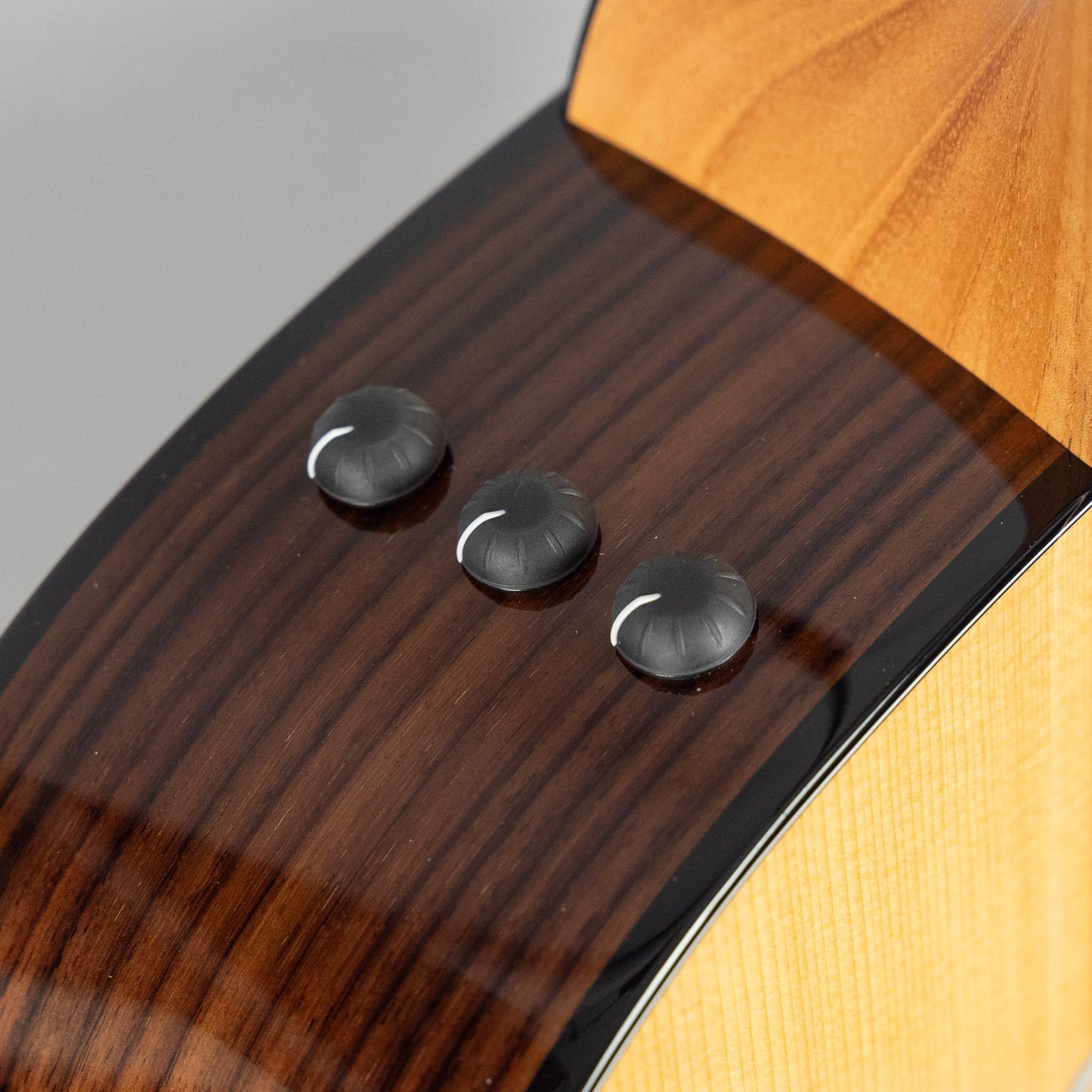 Taylor 210ce Plus Acoustic Guitar