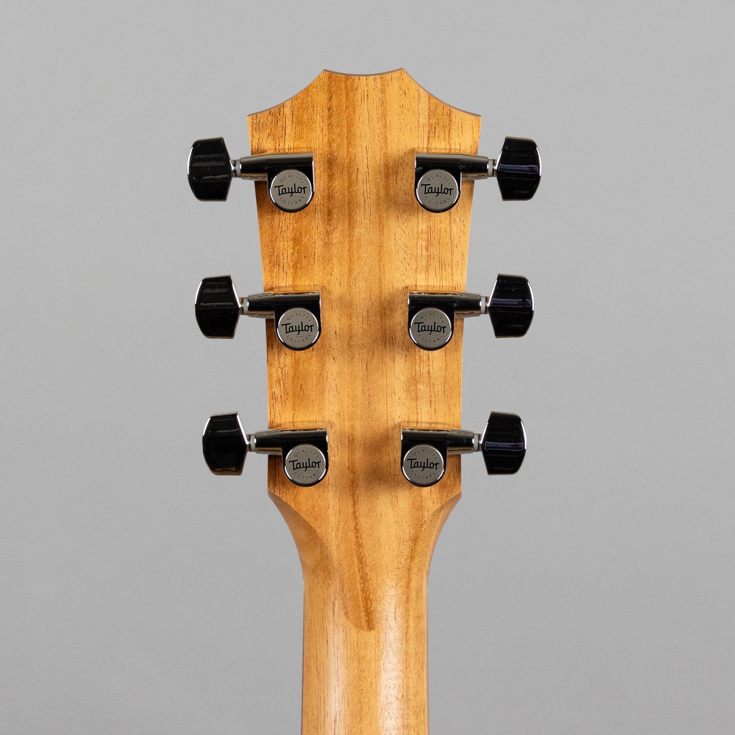 Taylor 210ce Plus Acoustic Guitar