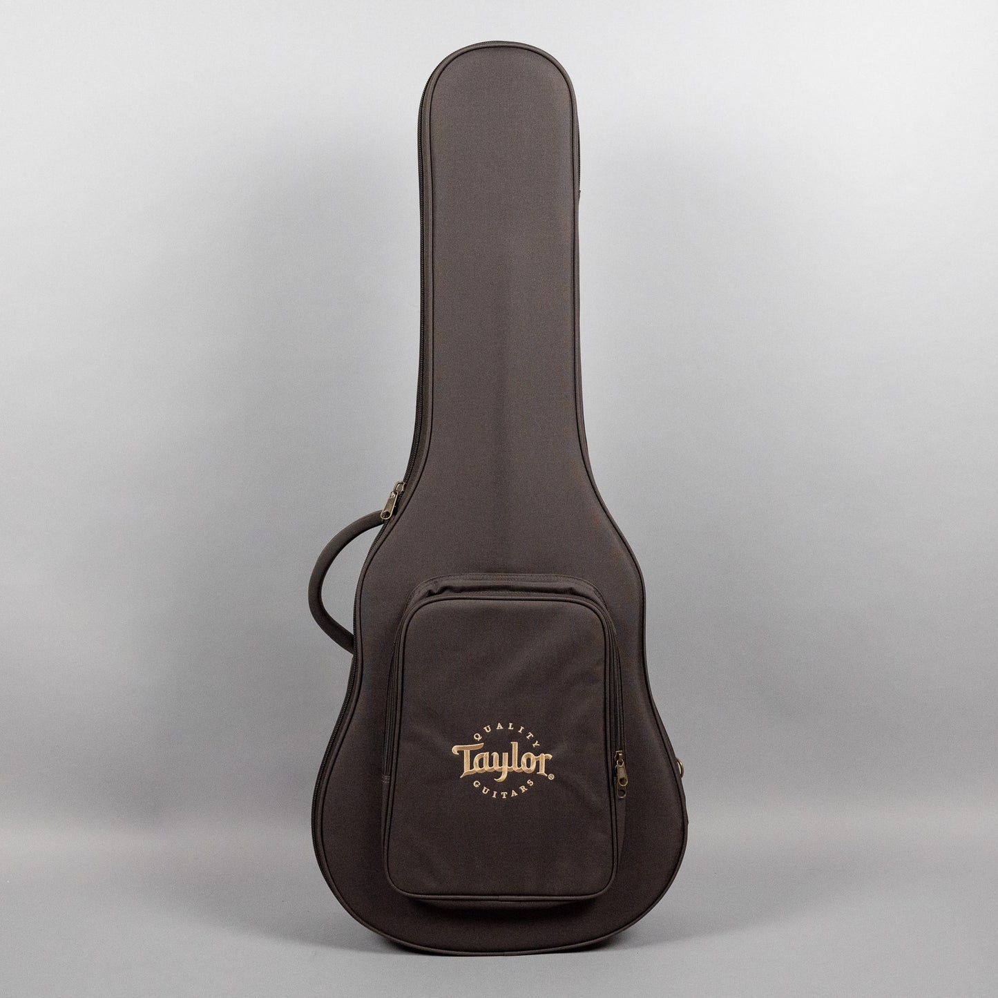 Taylor 210ce Plus Acoustic Guitar