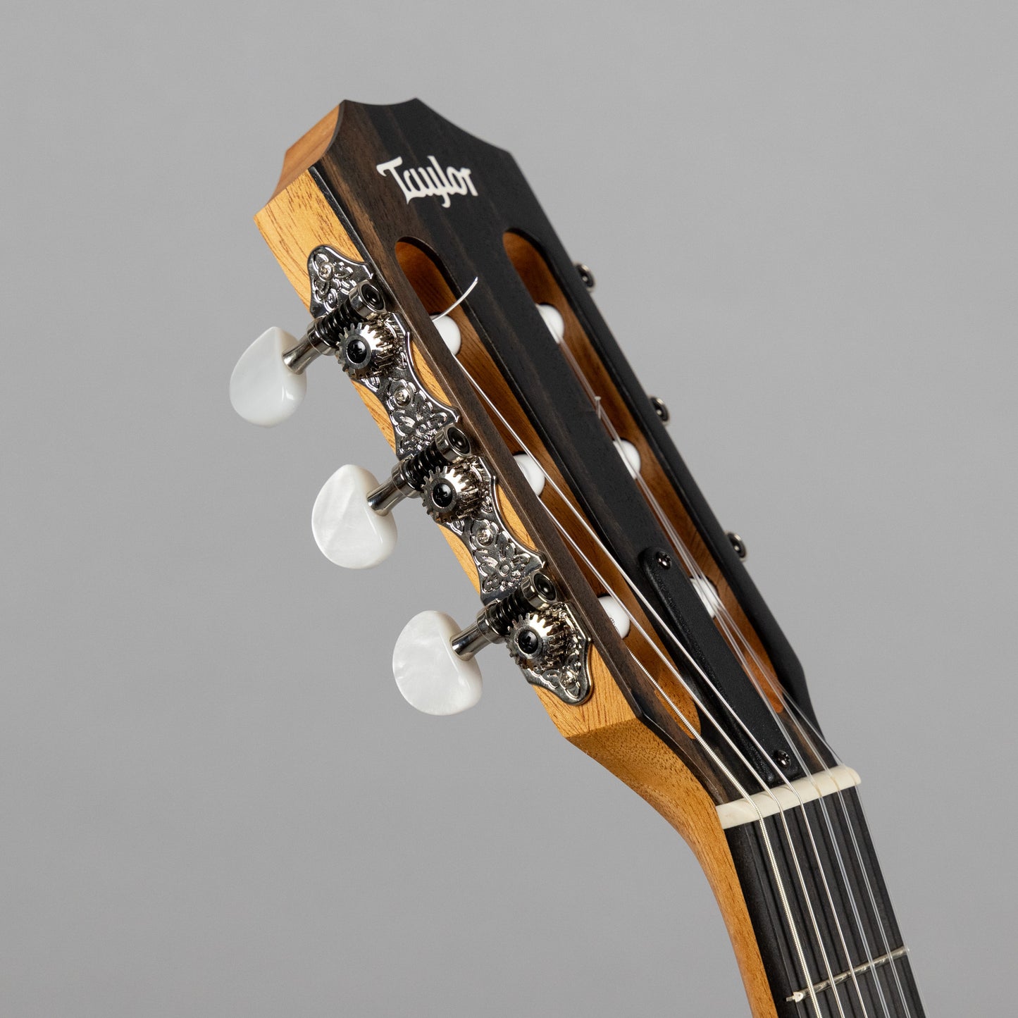 Taylor 214ce-N Nylon String Acoustic Guitar