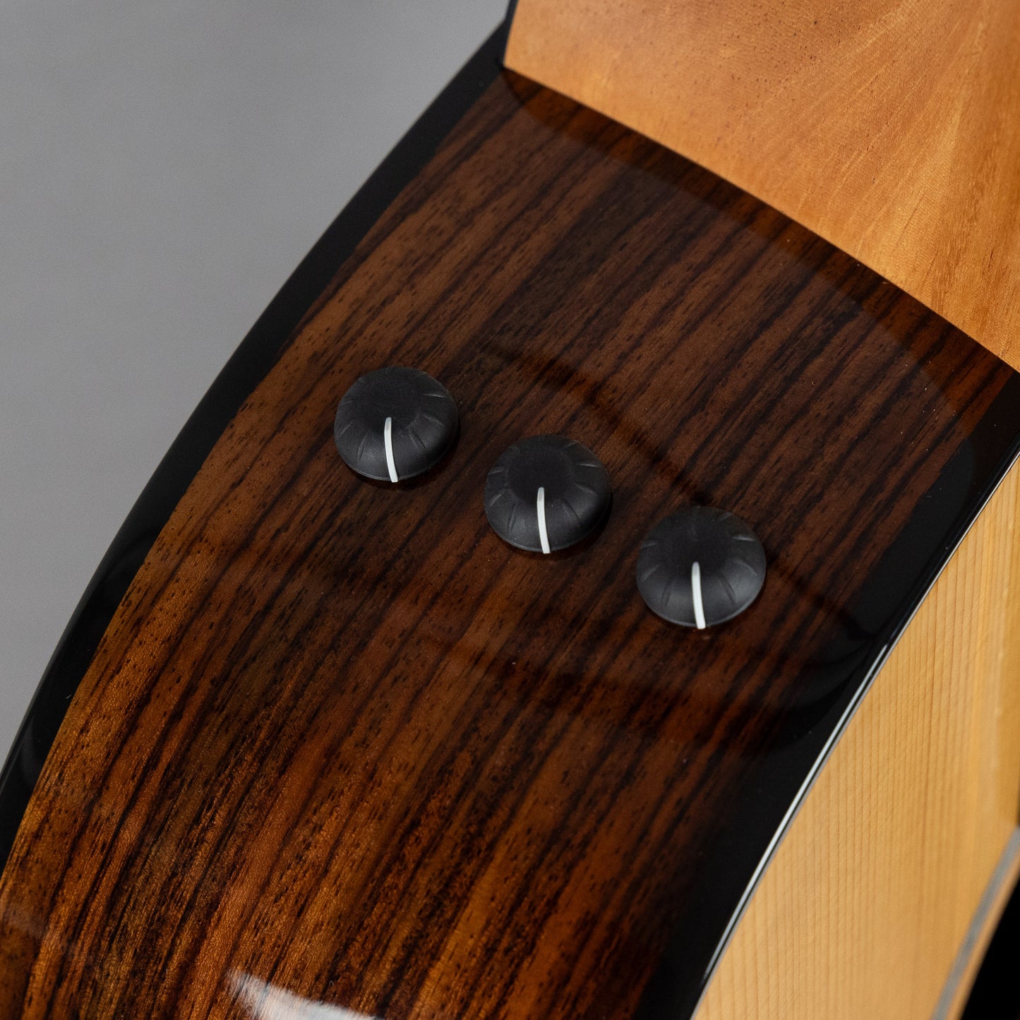 Taylor 214ce Plus Acoustic Guitar