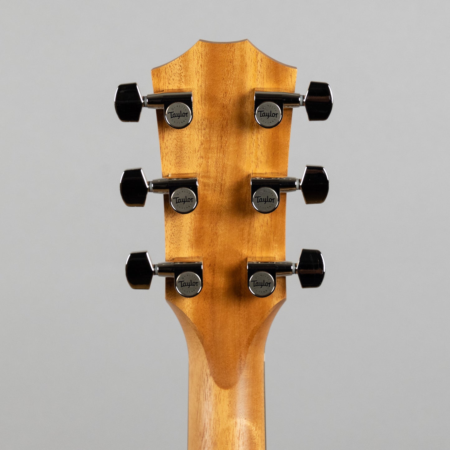 Taylor 214ce Plus Acoustic Guitar