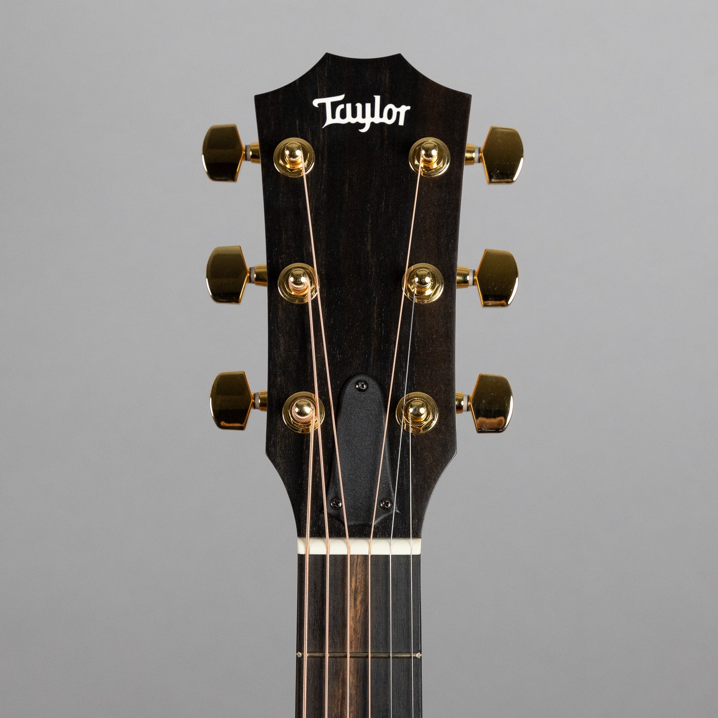 Taylor 224ce-K DLX Acoustic Guitar