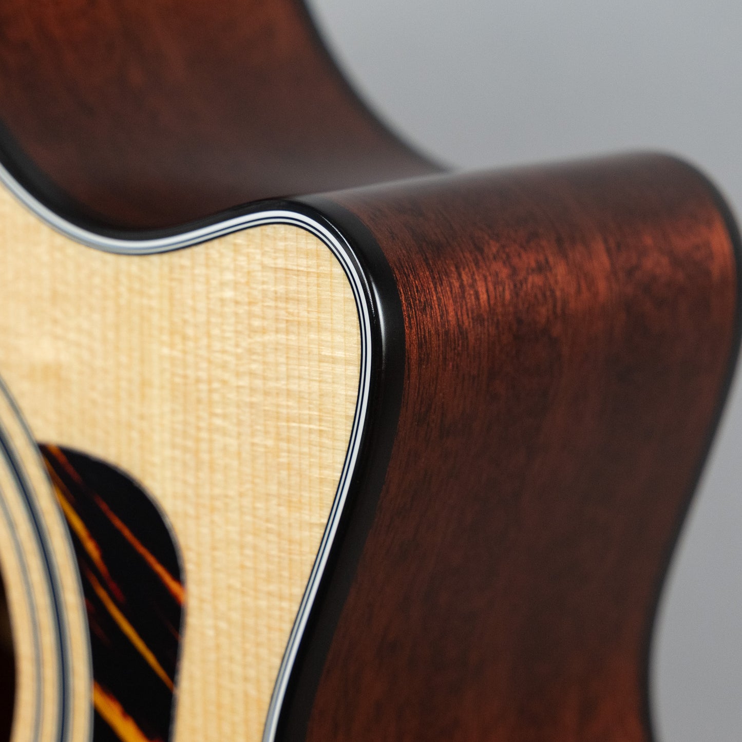 Taylor 312ce Acoustic Guitar