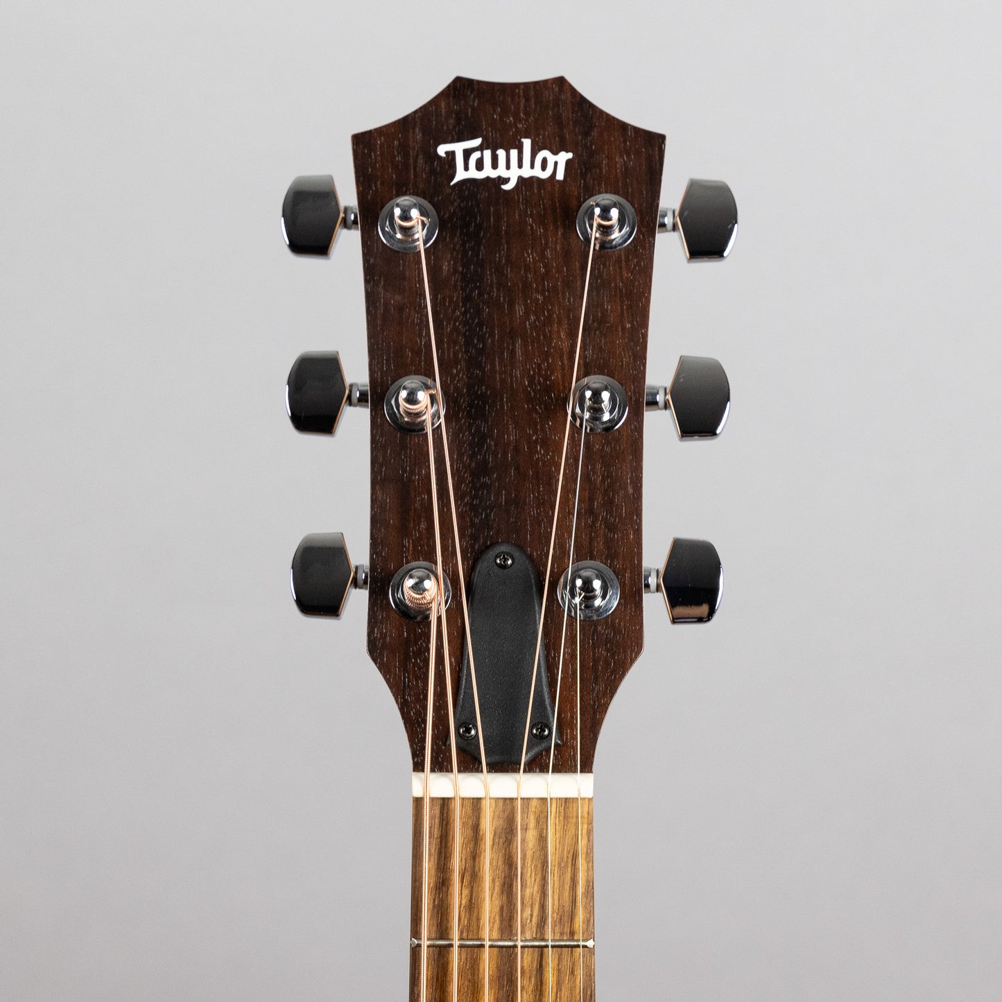 Taylor Academy A10 Acoustic Guitar