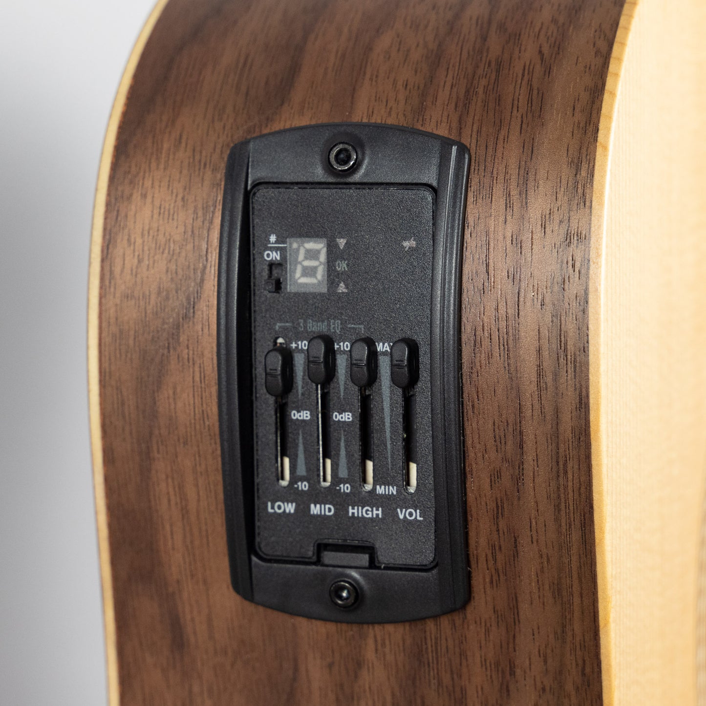 Taylor Academy A10e Acoustic Guitar