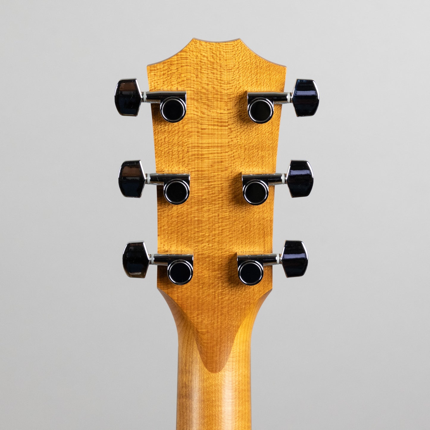 Taylor Academy A10e Acoustic Guitar