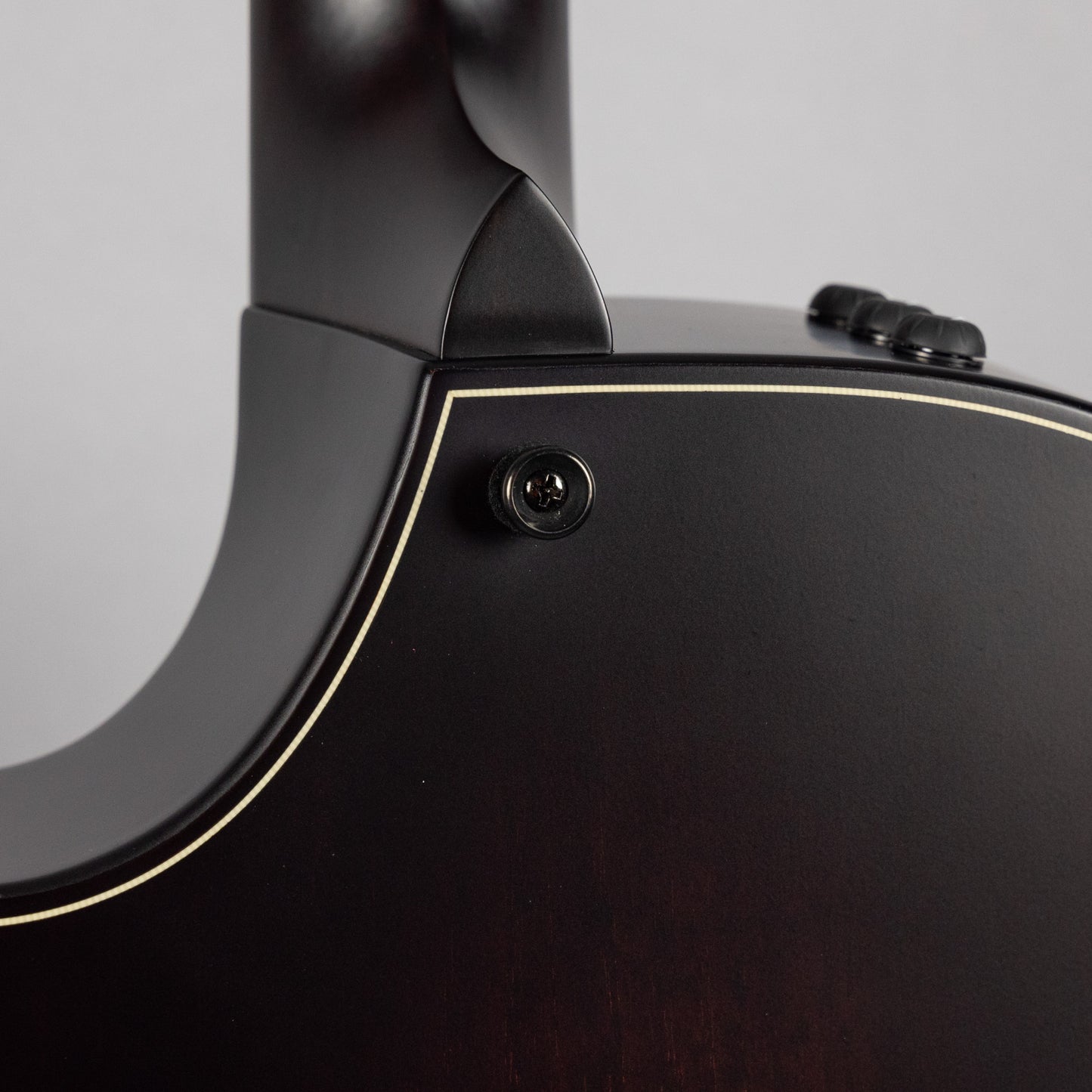 Taylor Builder's Edition 324ce, Tobacco Kona Burst