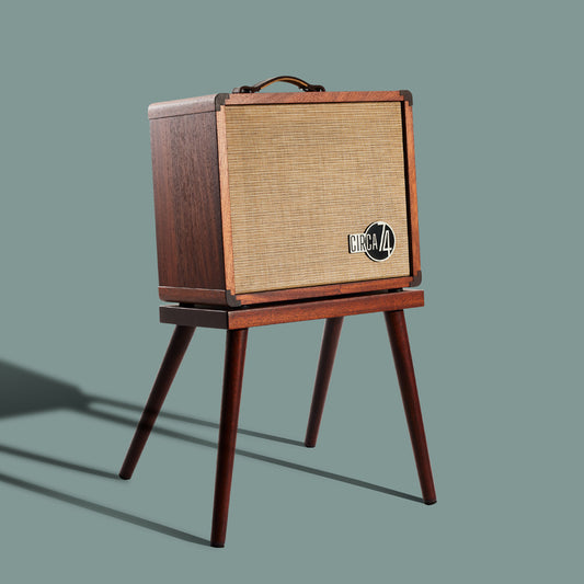 Taylor Circa74 2-in-1 Acoustic Guitar/Vocal Amplifier + Amp Stand