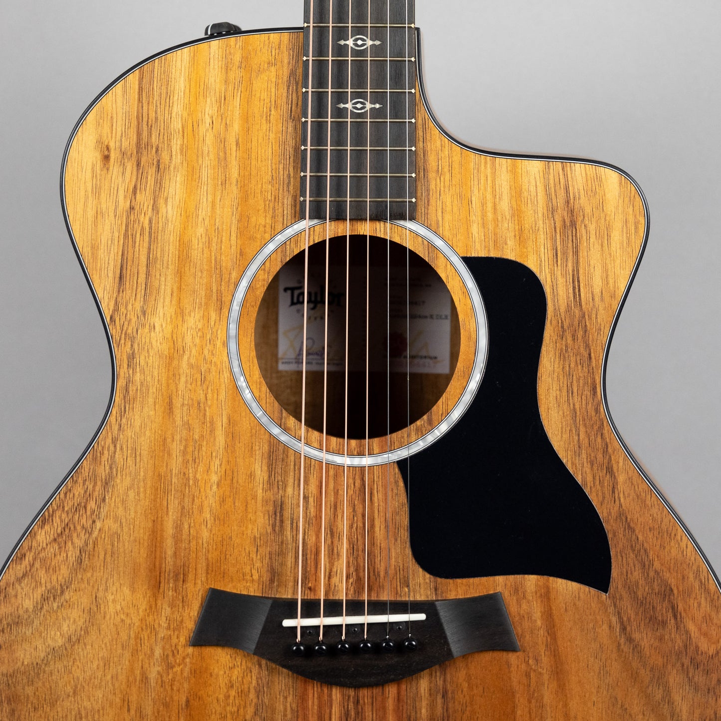 Taylor Custom 200 Series 224ce-K DLX Acoustic Guitar