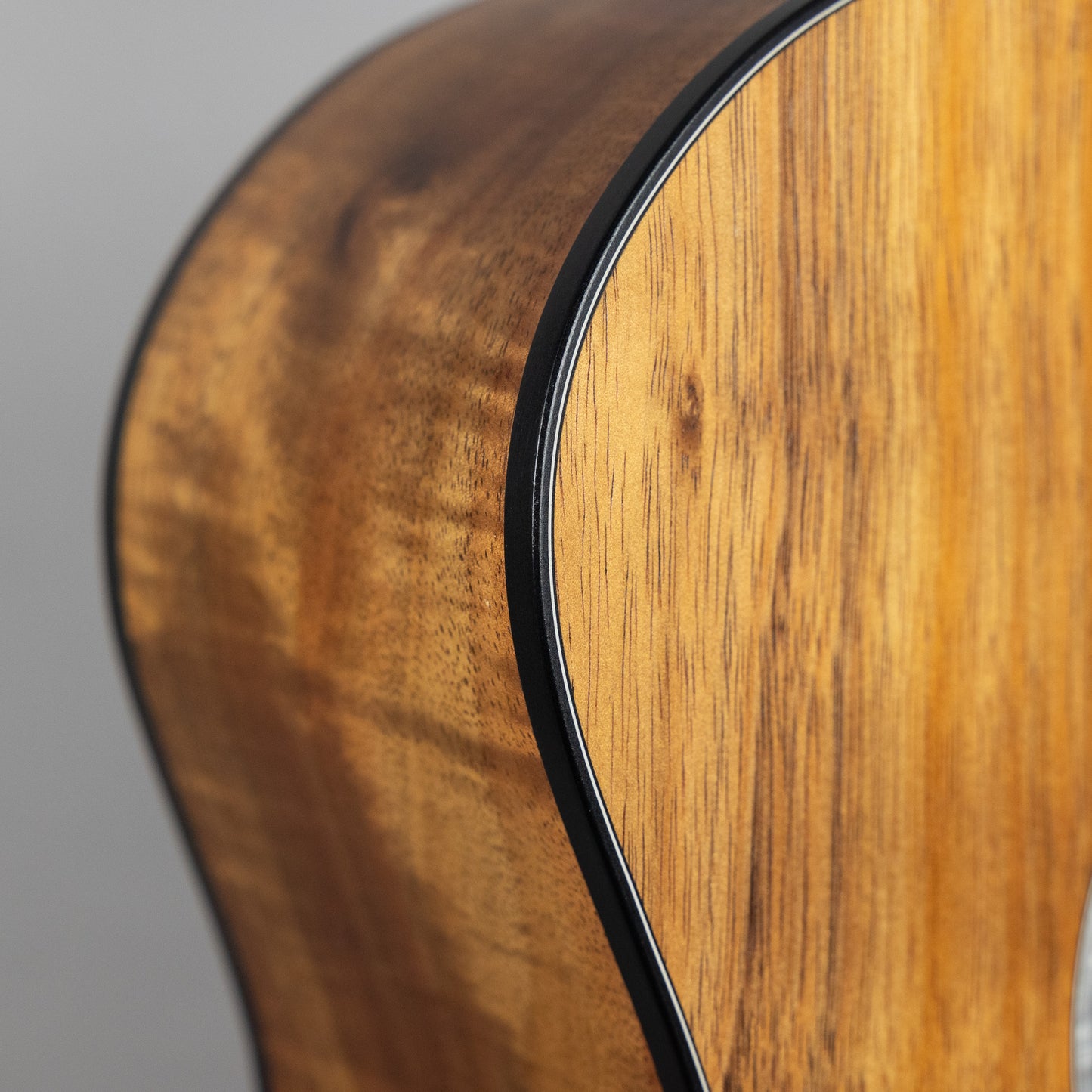 Taylor Custom 200 Series 224ce-K DLX Acoustic Guitar