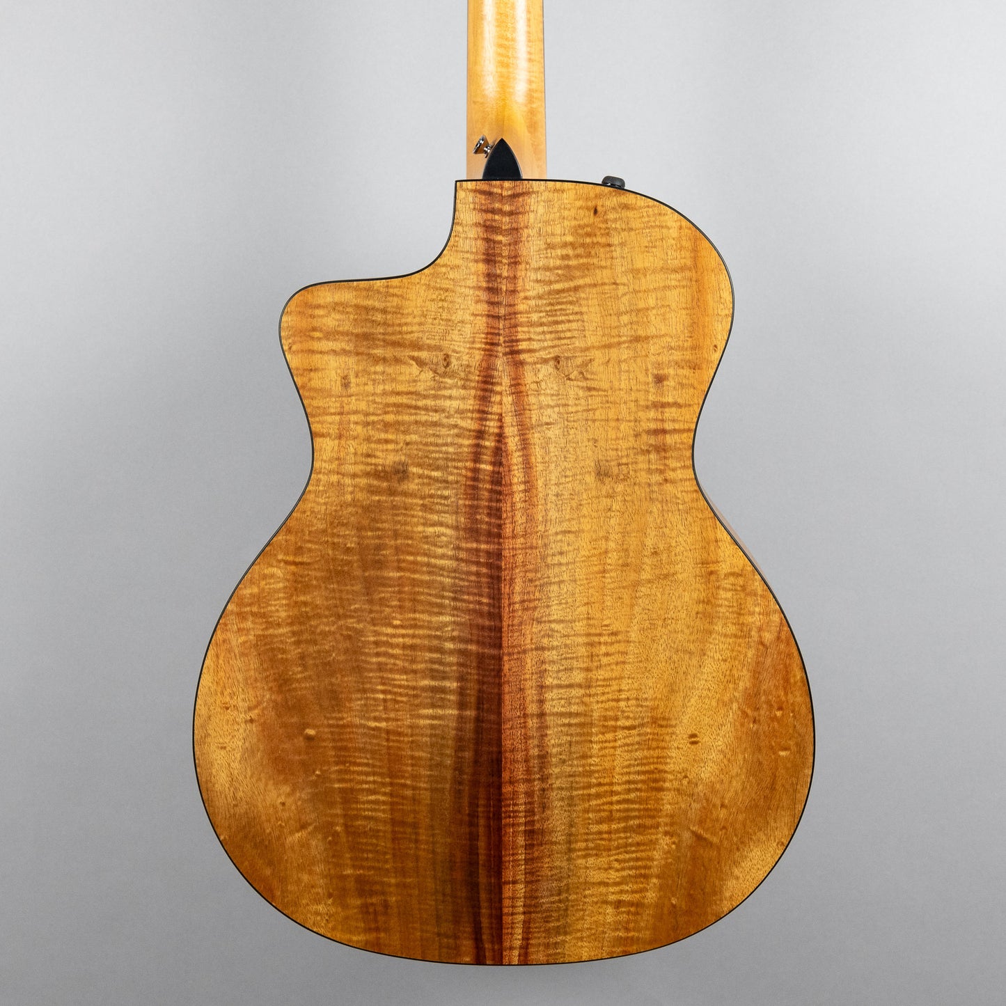 Taylor Custom 200 Series 224ce-K DLX Acoustic Guitar