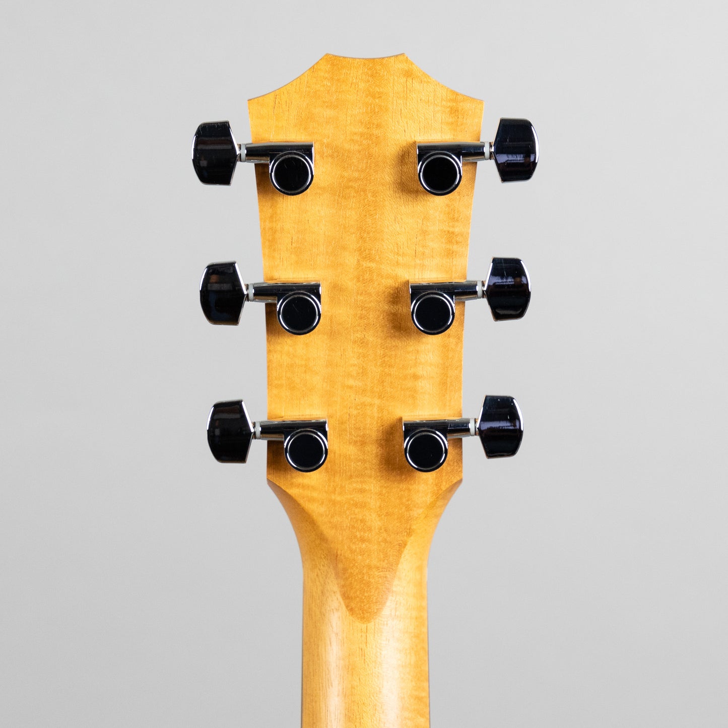 Taylor Custom 200 Series 224ce-K DLX Acoustic Guitar