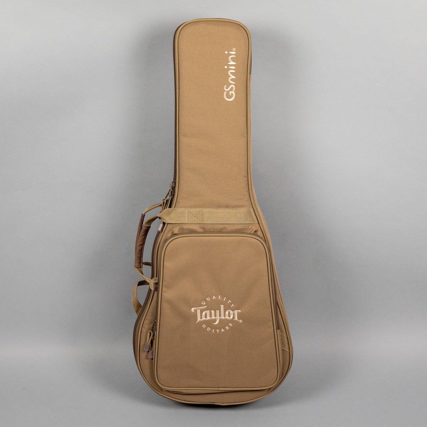 Taylor GS Mini Rosewood Acoustic Guitar