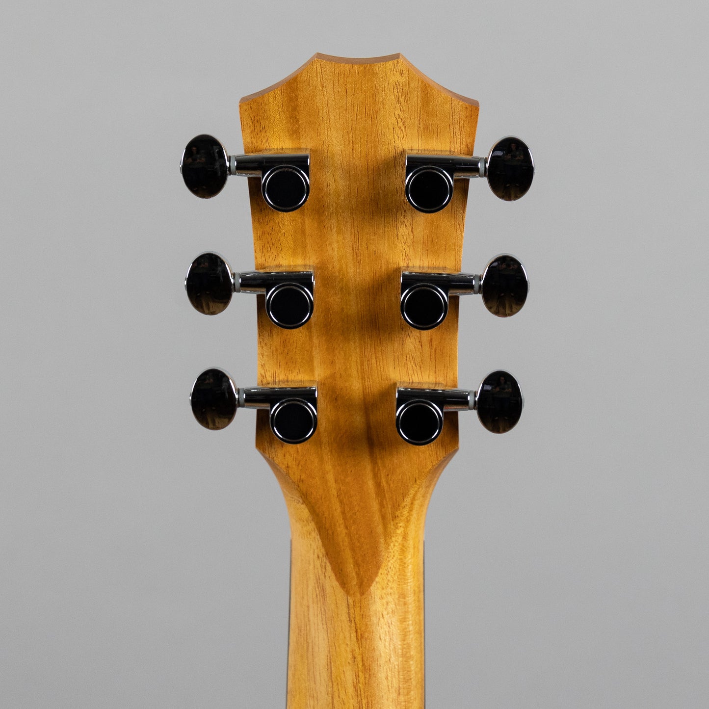 Taylor GS Mini Sapele Acoustic Guitar