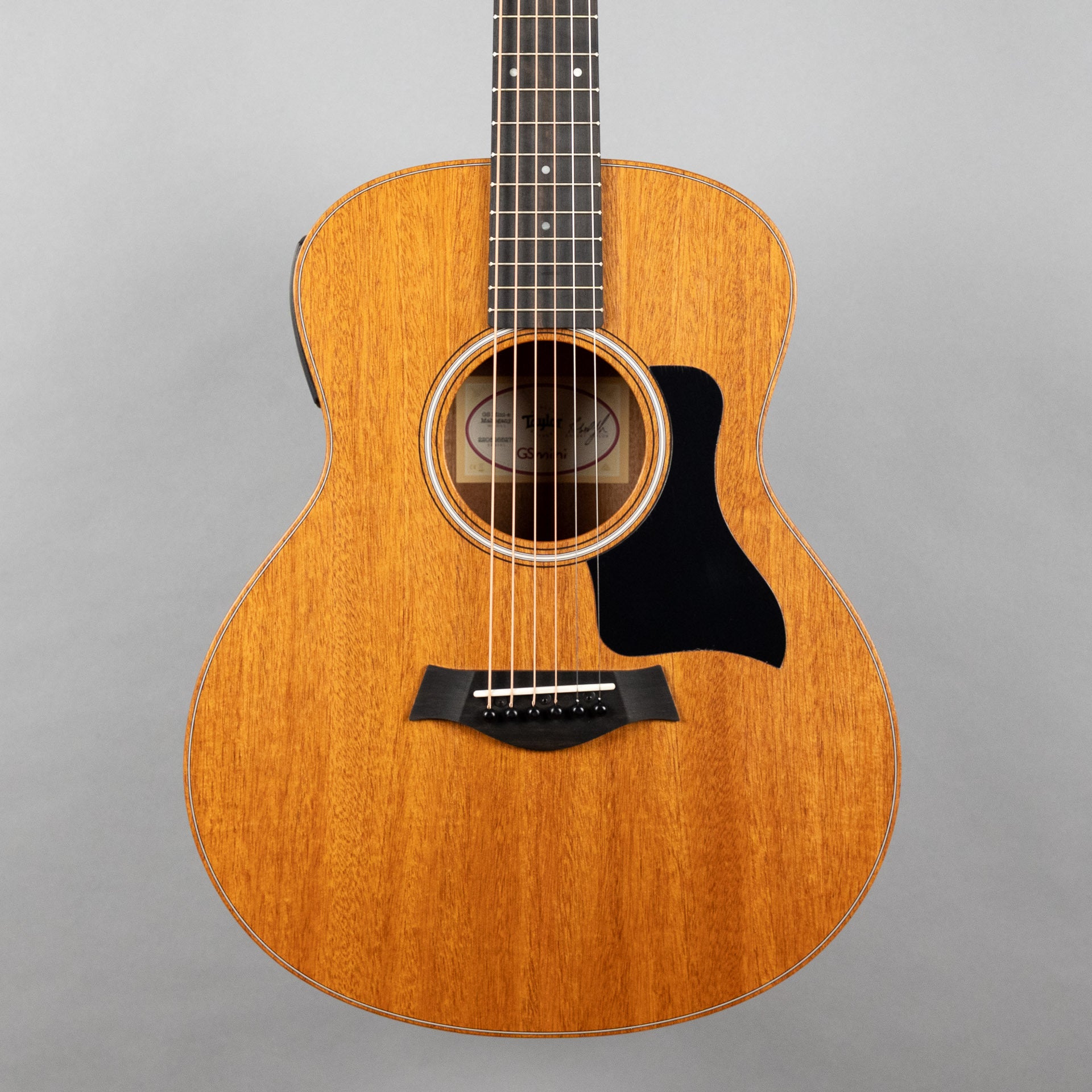Taylor GS Mini-e Mahogany – Carlton Music Center