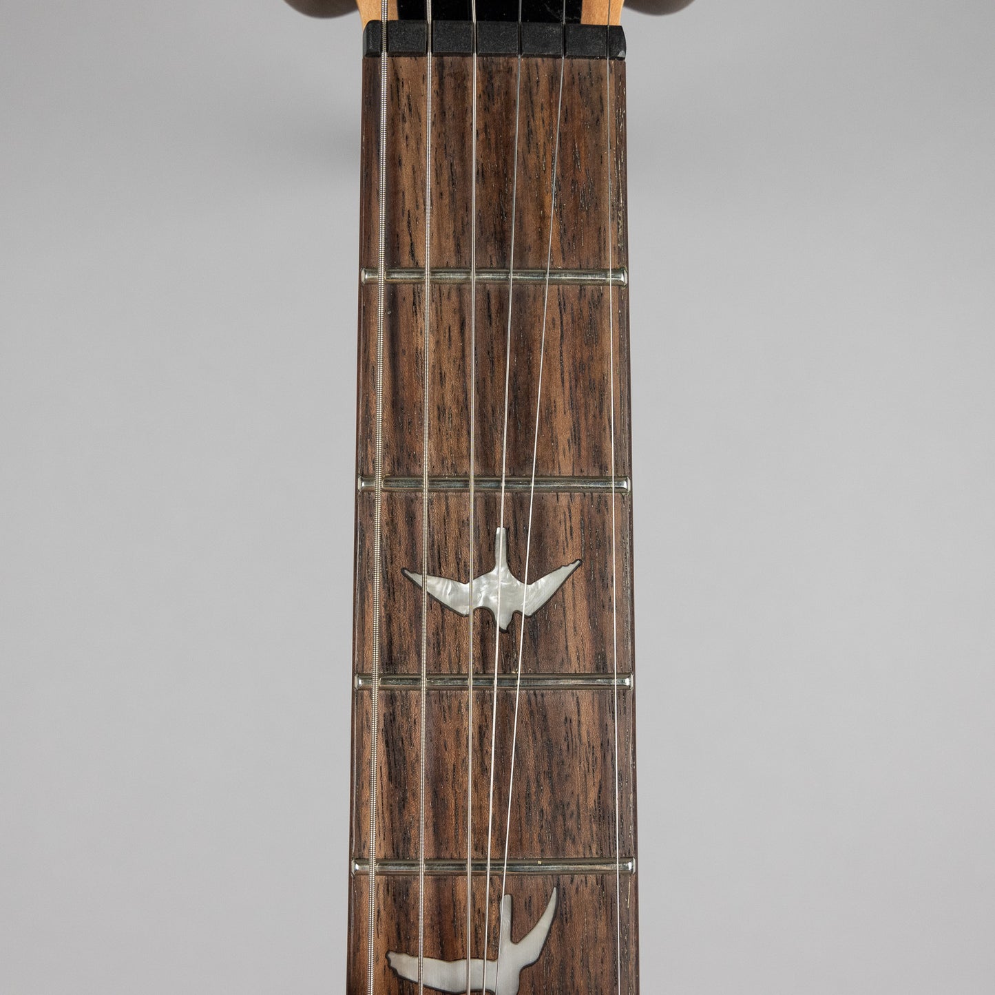 Used Paul Reed Smith SE Custom 24-08 in Eriza Verde w/Gig Bag