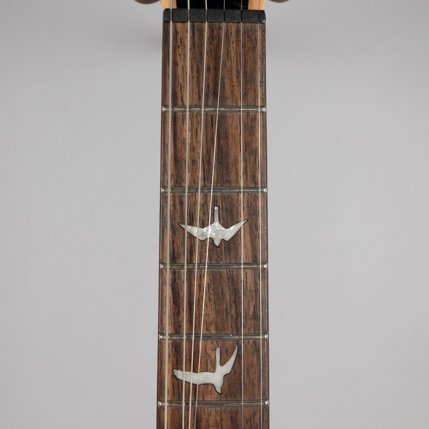 Used Paul Reed Smith SE Custom 24-08 in Eriza Verde w/Gig Bag