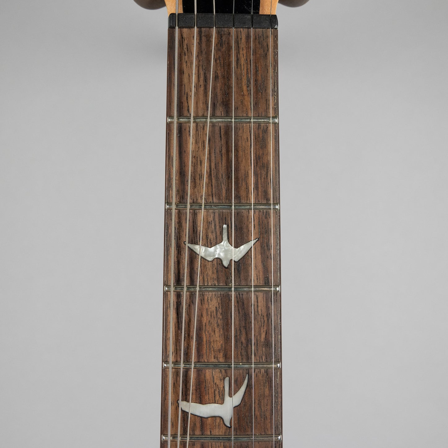 Used Paul Reed Smith SE Custom 24-08 in Eriza Verde w/Gig Bag