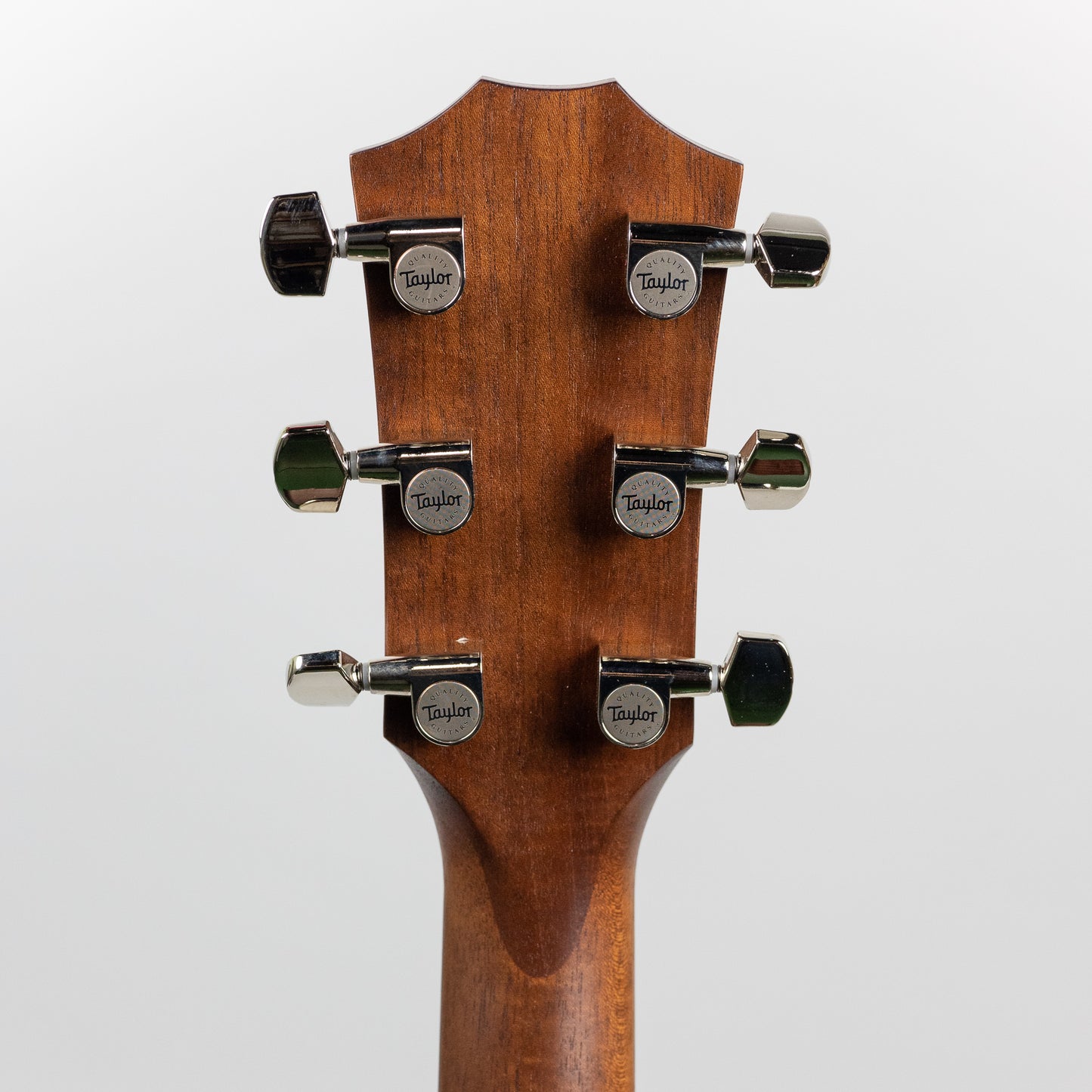 Taylor American Dream Series AD22e (1202252021)